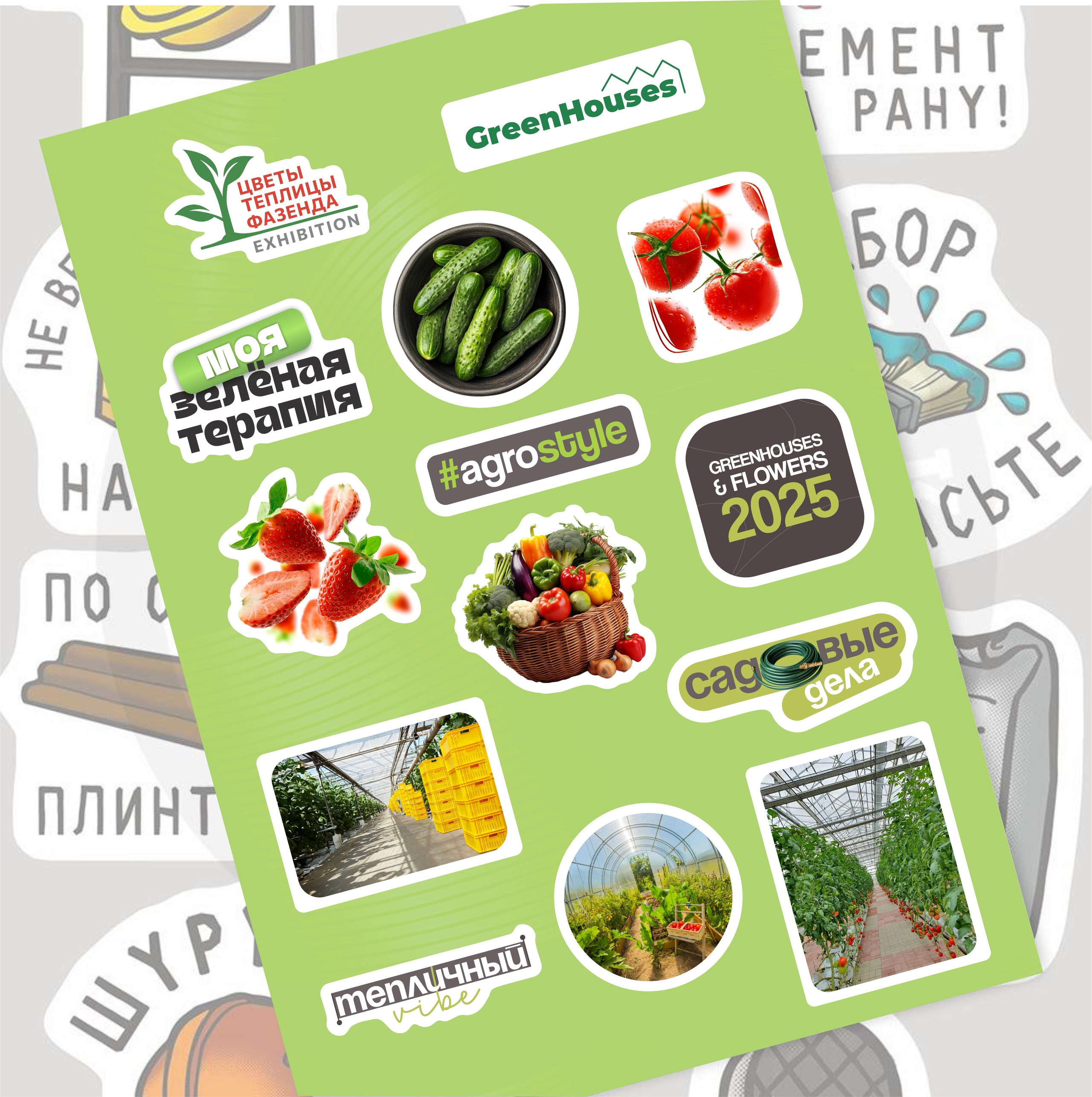 Design. Фотограф в Жезказгане. Графический дизайнер