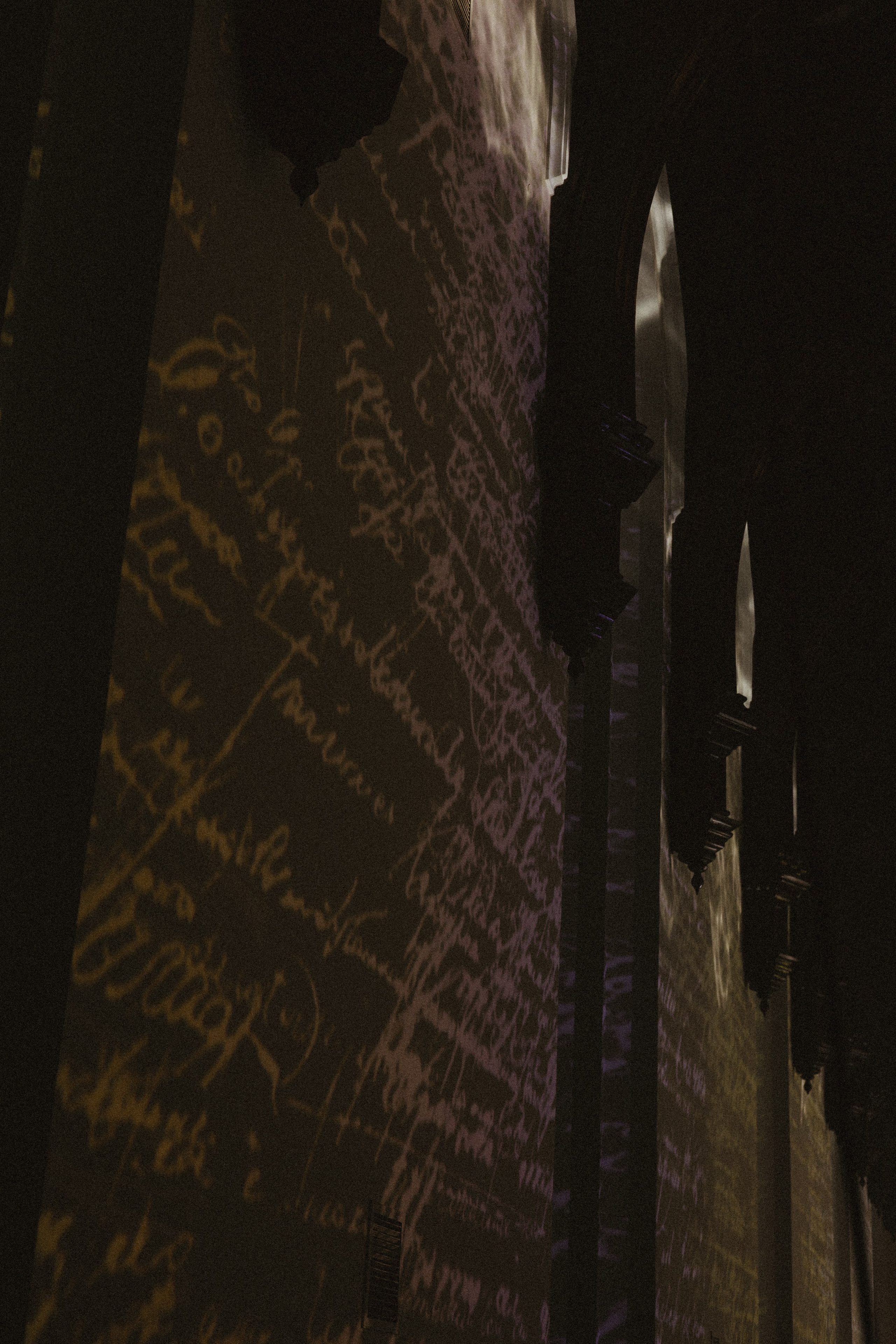 Rara Avis Fashion Show 2026. Fusion Wedding Photographer