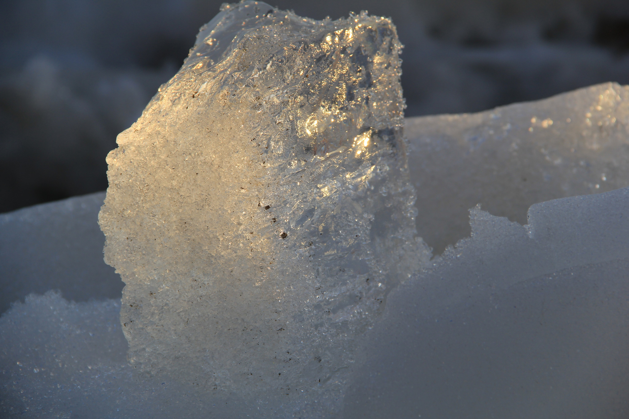Пища для глаз. Ваш фотограф Северск | Томск