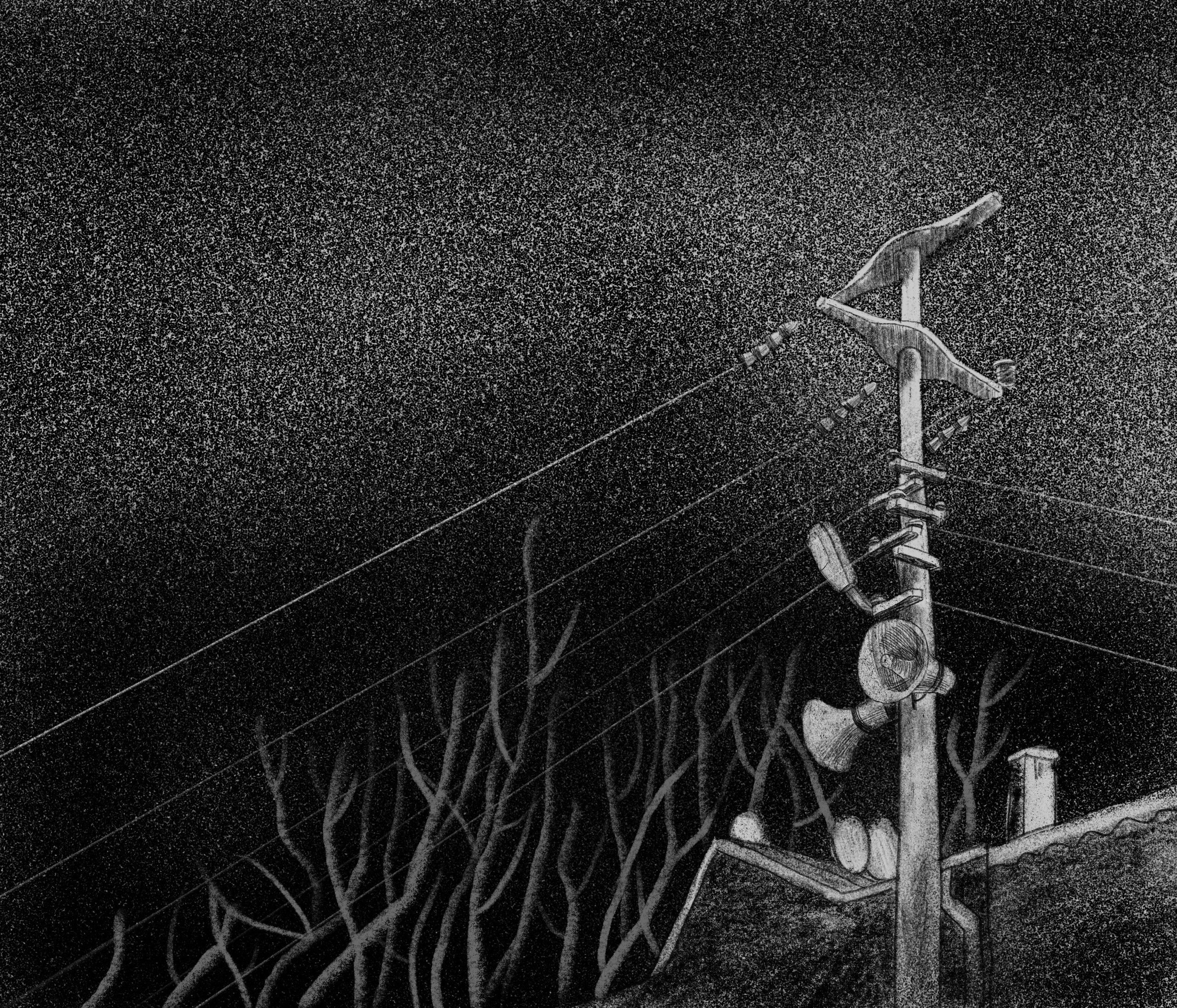 Daily illustrations. Современная художница Диана Рогаткина