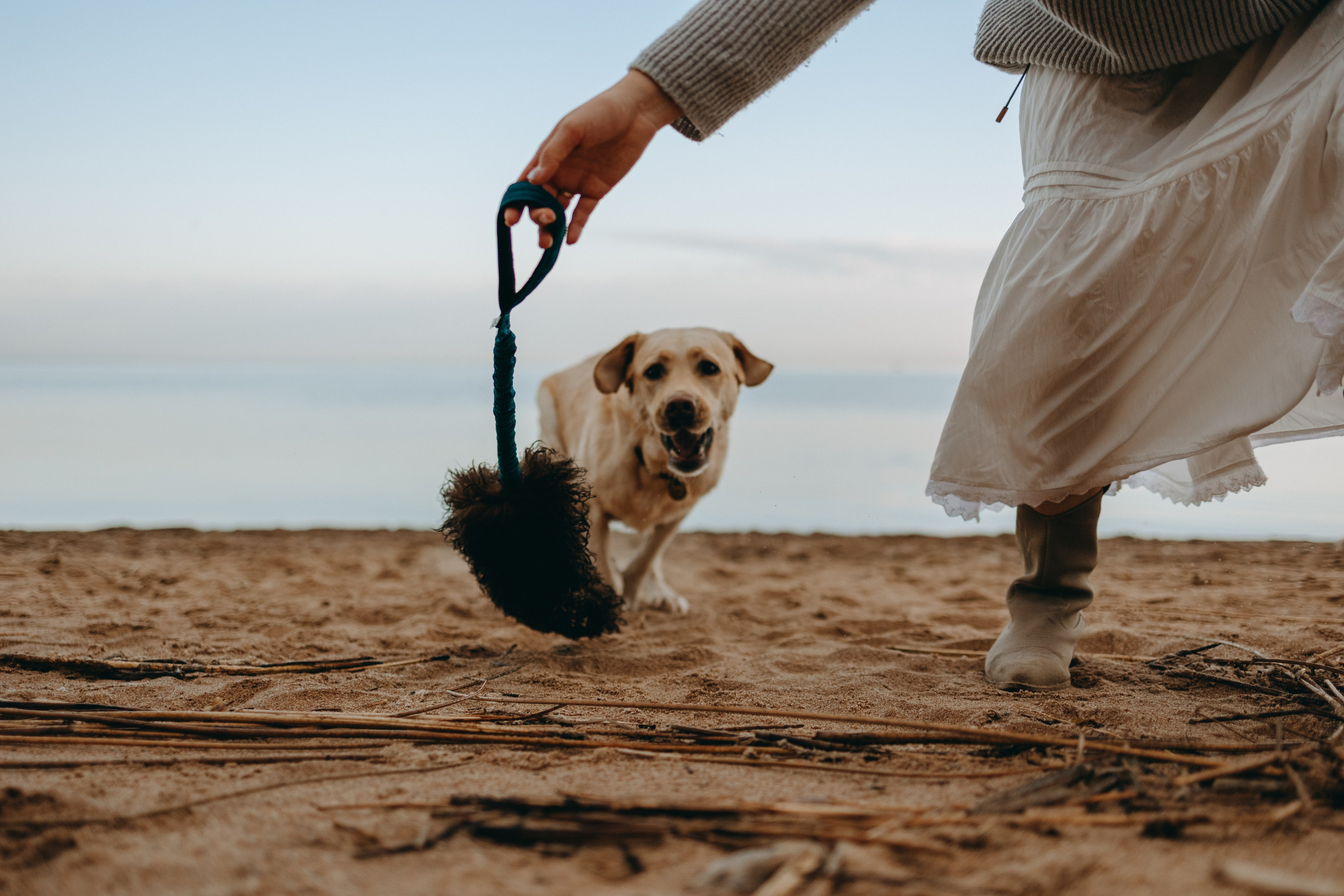 Наташа и Шани. Фотограф — Анималист | Санкт-Петербург