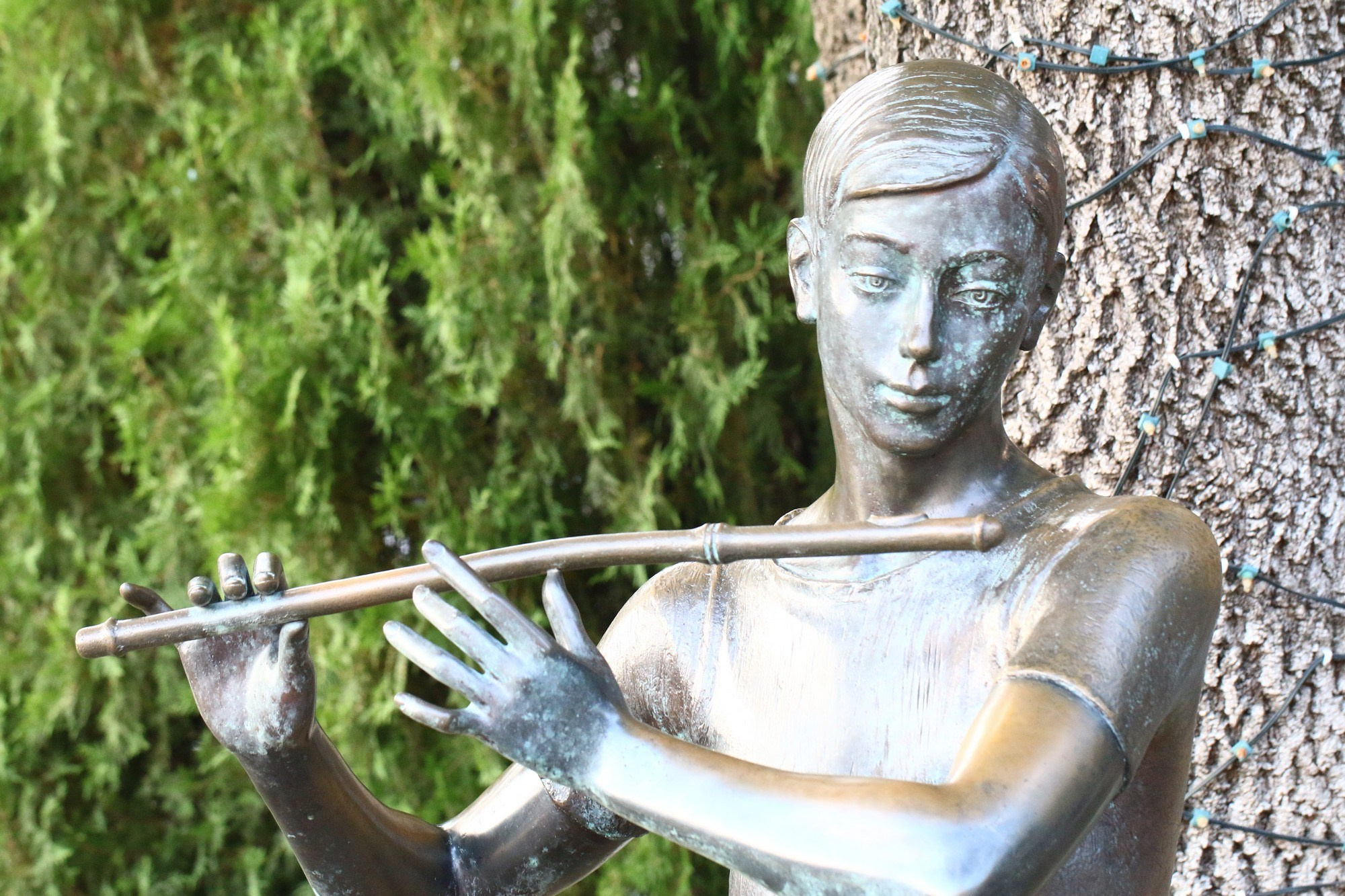 Геленджик 2016 г. Улица, люди, жизнь…