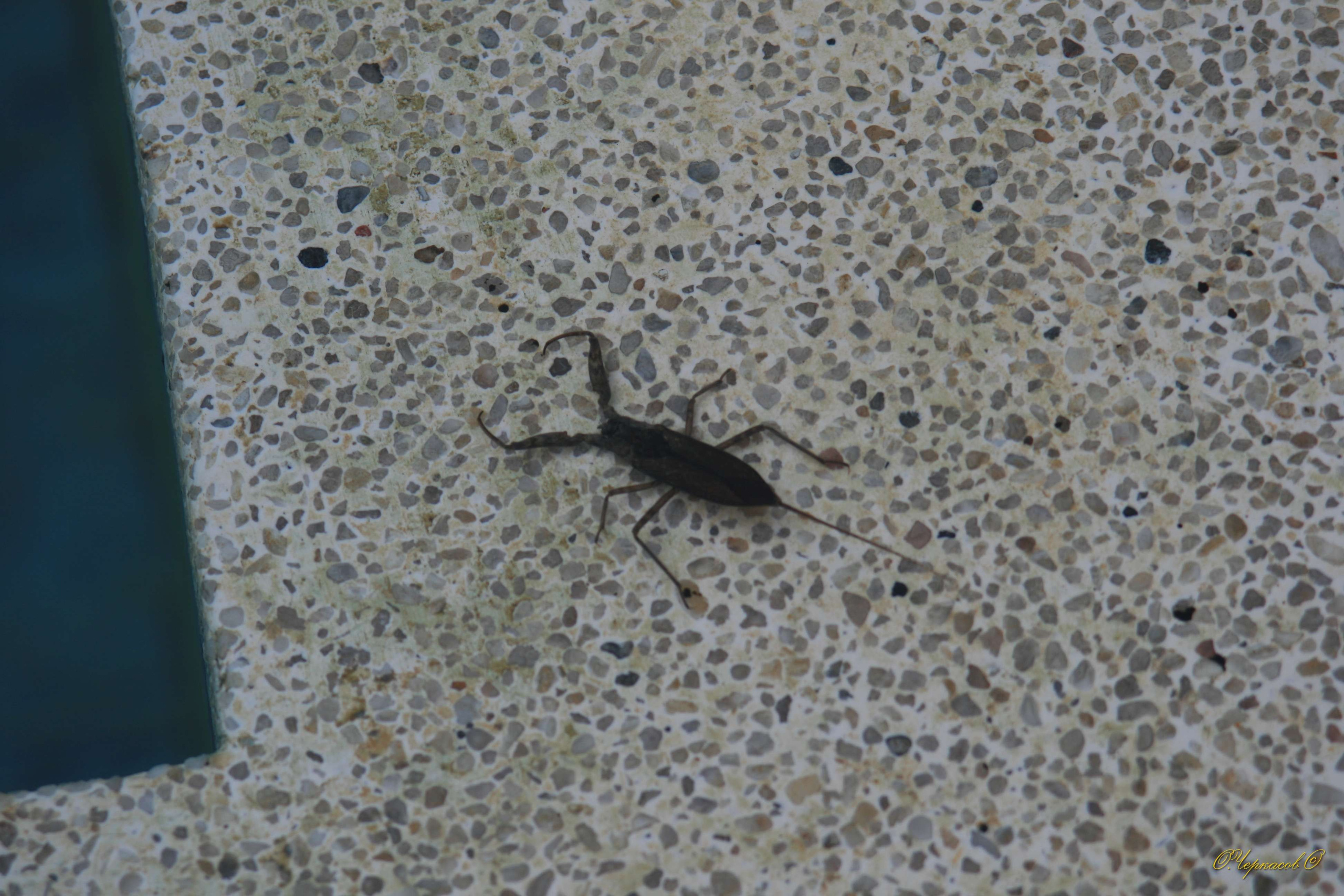 Вьетнам 2008 г. Улица, люди, жизнь…