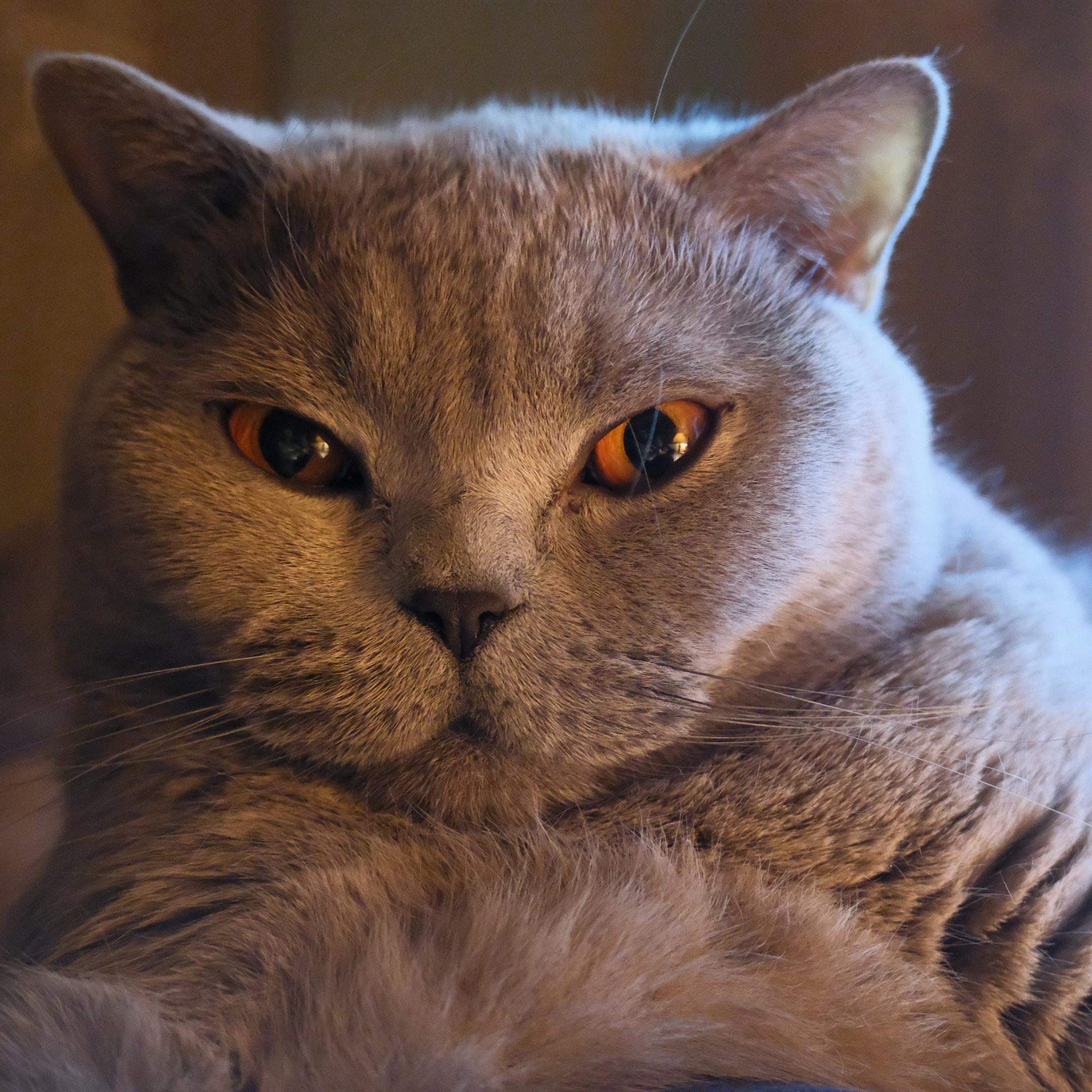 Улица, люди, жизнь…