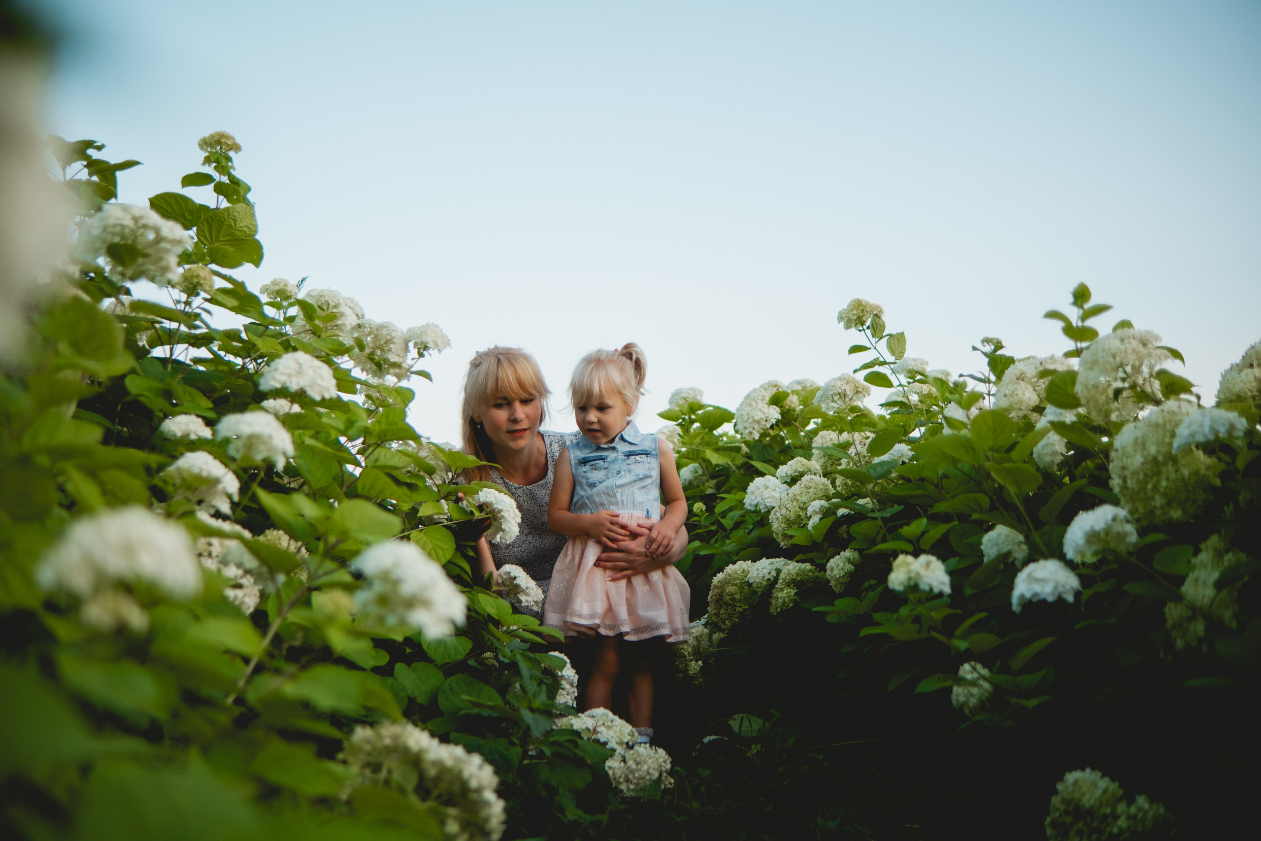 Семейная съемка в лованде. Nattie.ph