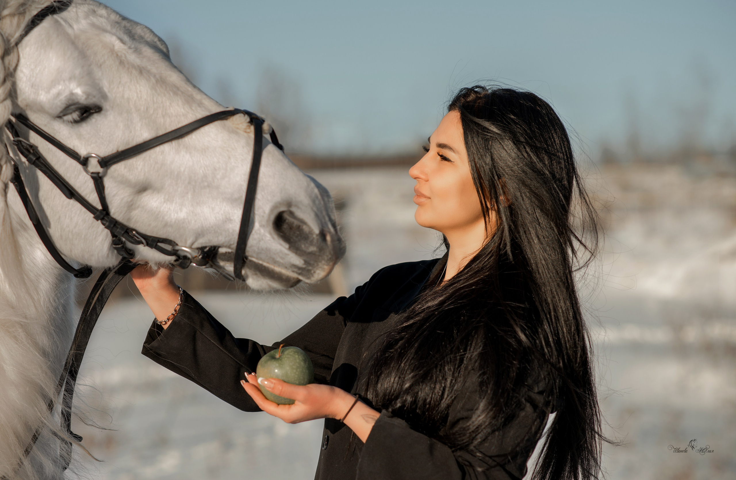 Владлена и Вымпел. Конный фотограф в Саратове Юлия Иванова