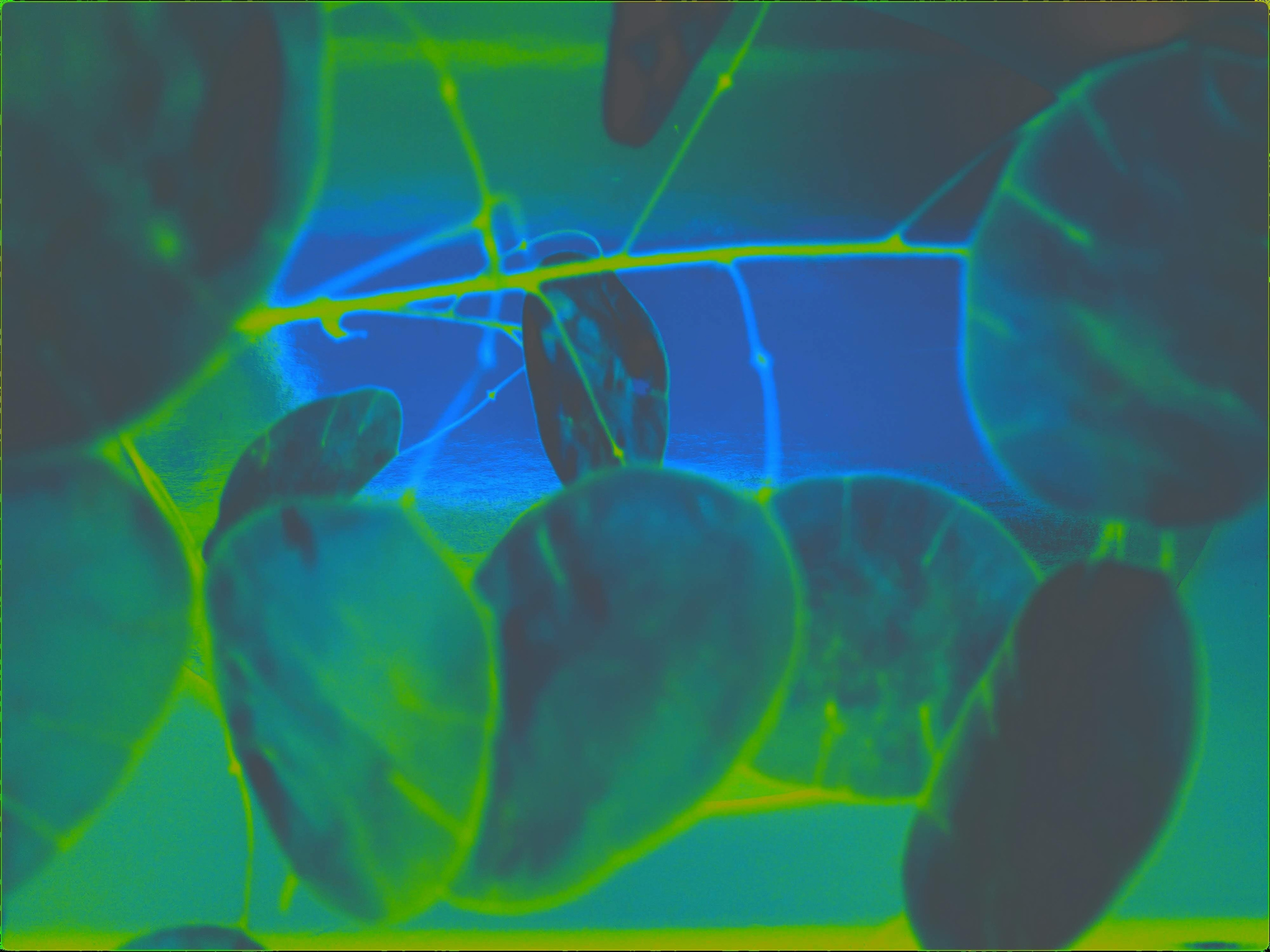 Malamoonki. Катерина Малама арт-фотограф