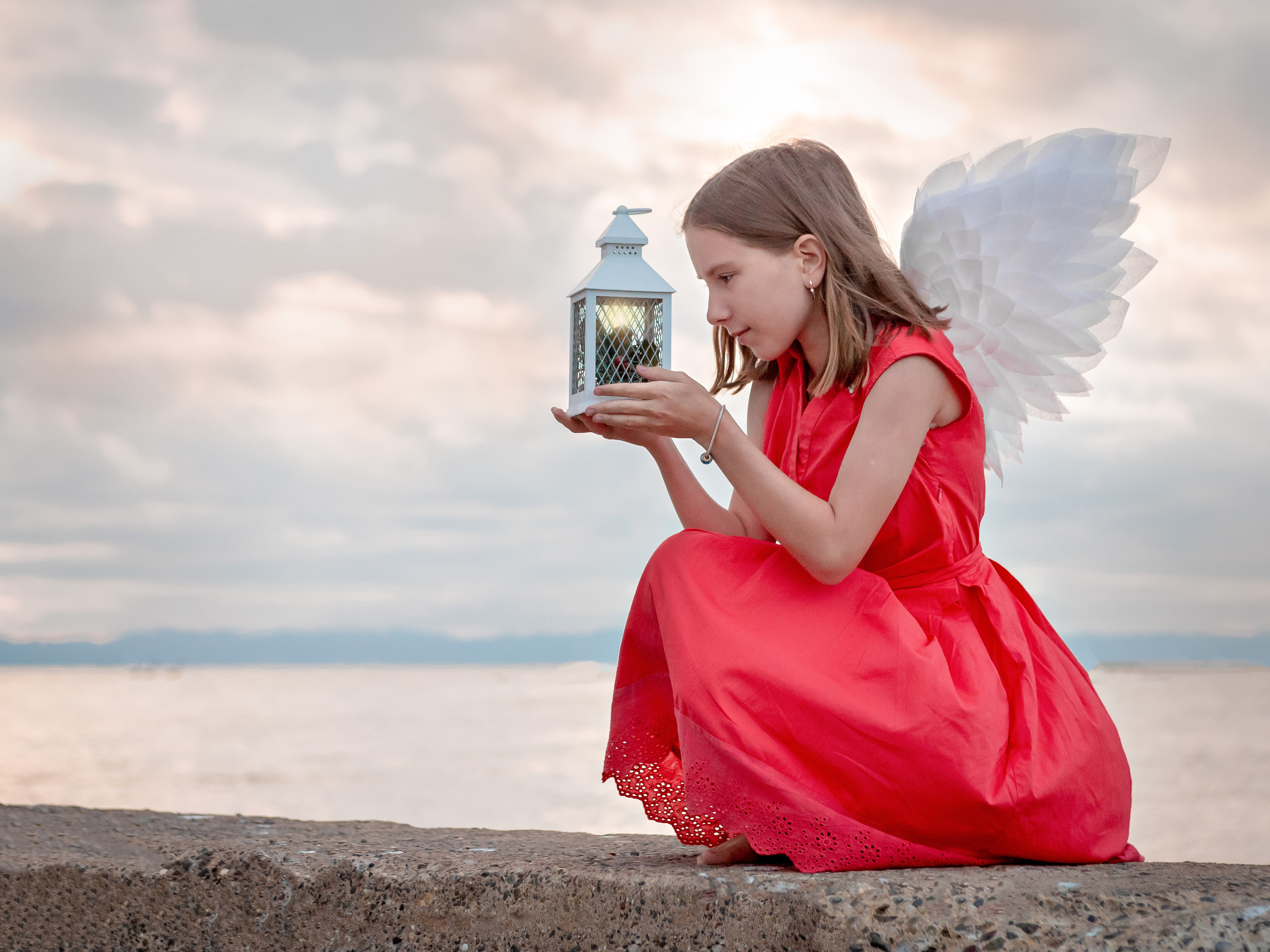 Крылья. Инга Кузьминская ТОП-фотограф г. Корсаков