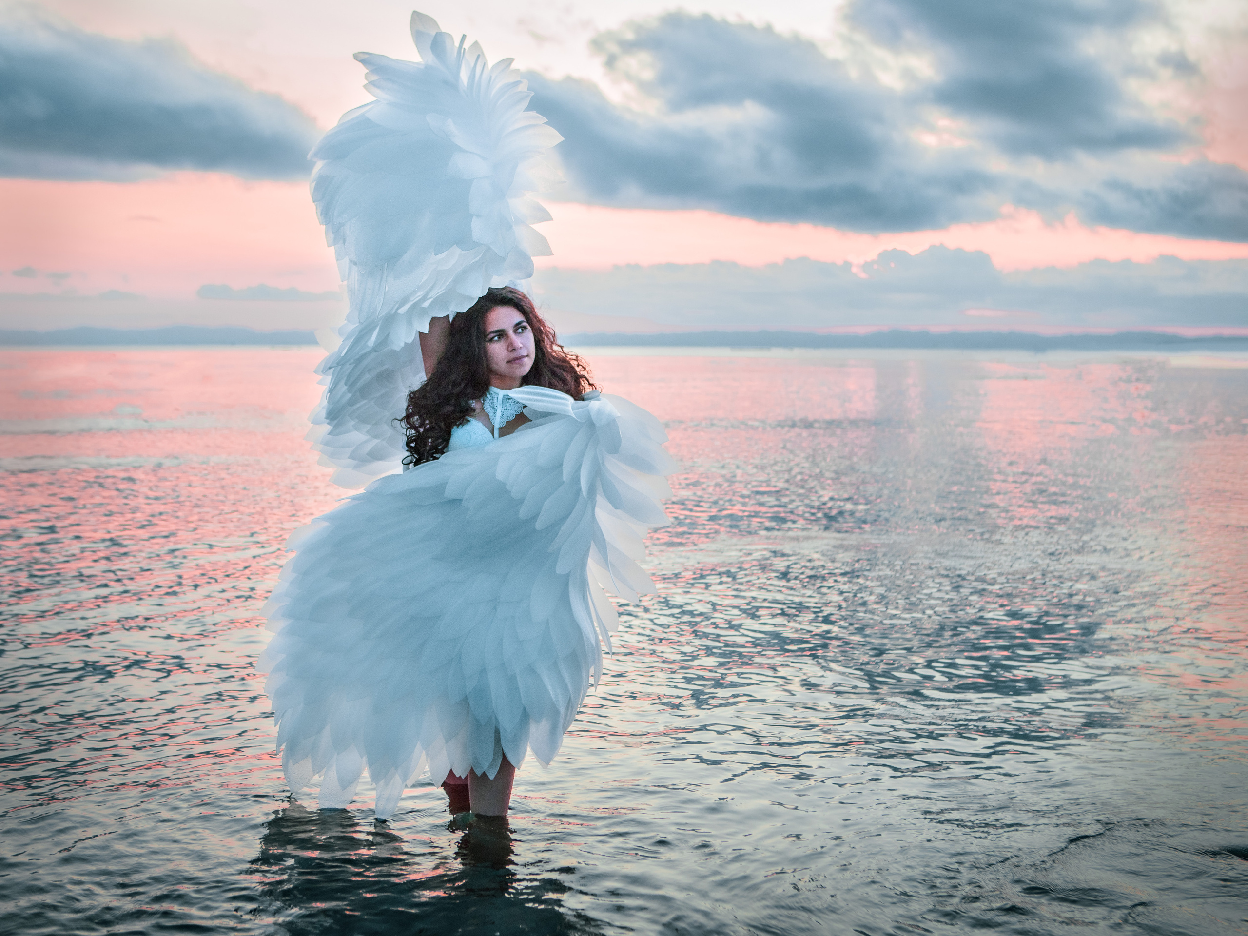 Крылья. Инга Кузьминская ТОП-фотограф г. Корсаков