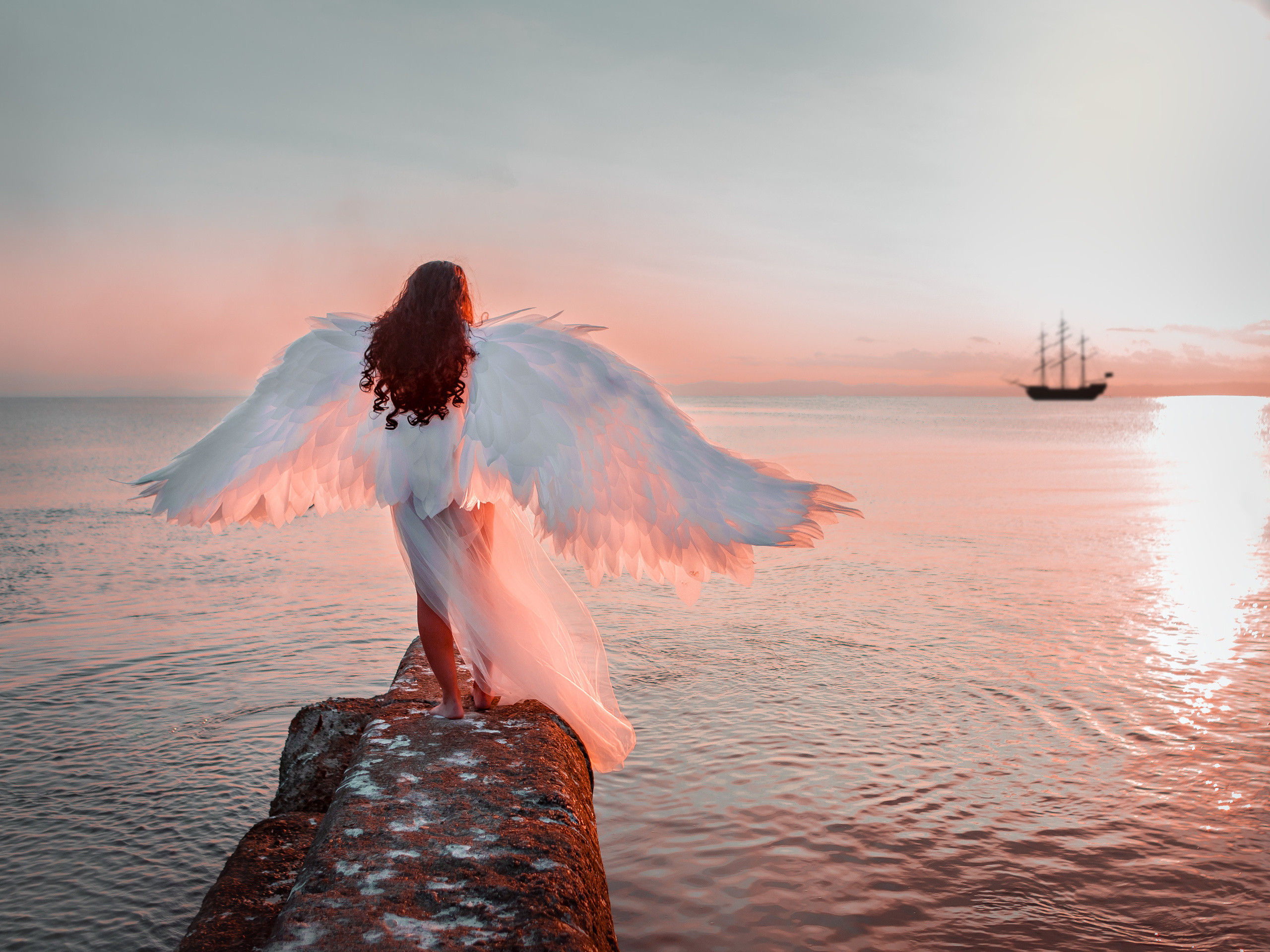 Крылья. Инга Кузьминская ТОП-фотограф г. Корсаков