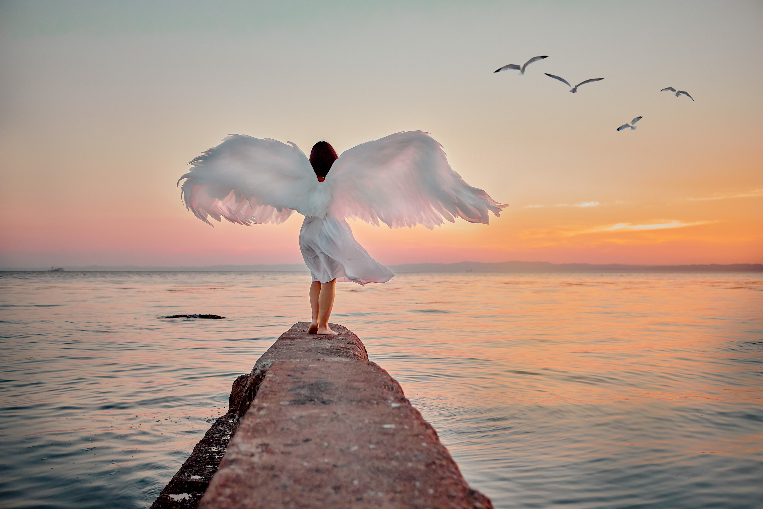 Крылья. Инга Кузьминская ТОП-фотограф г. Корсаков