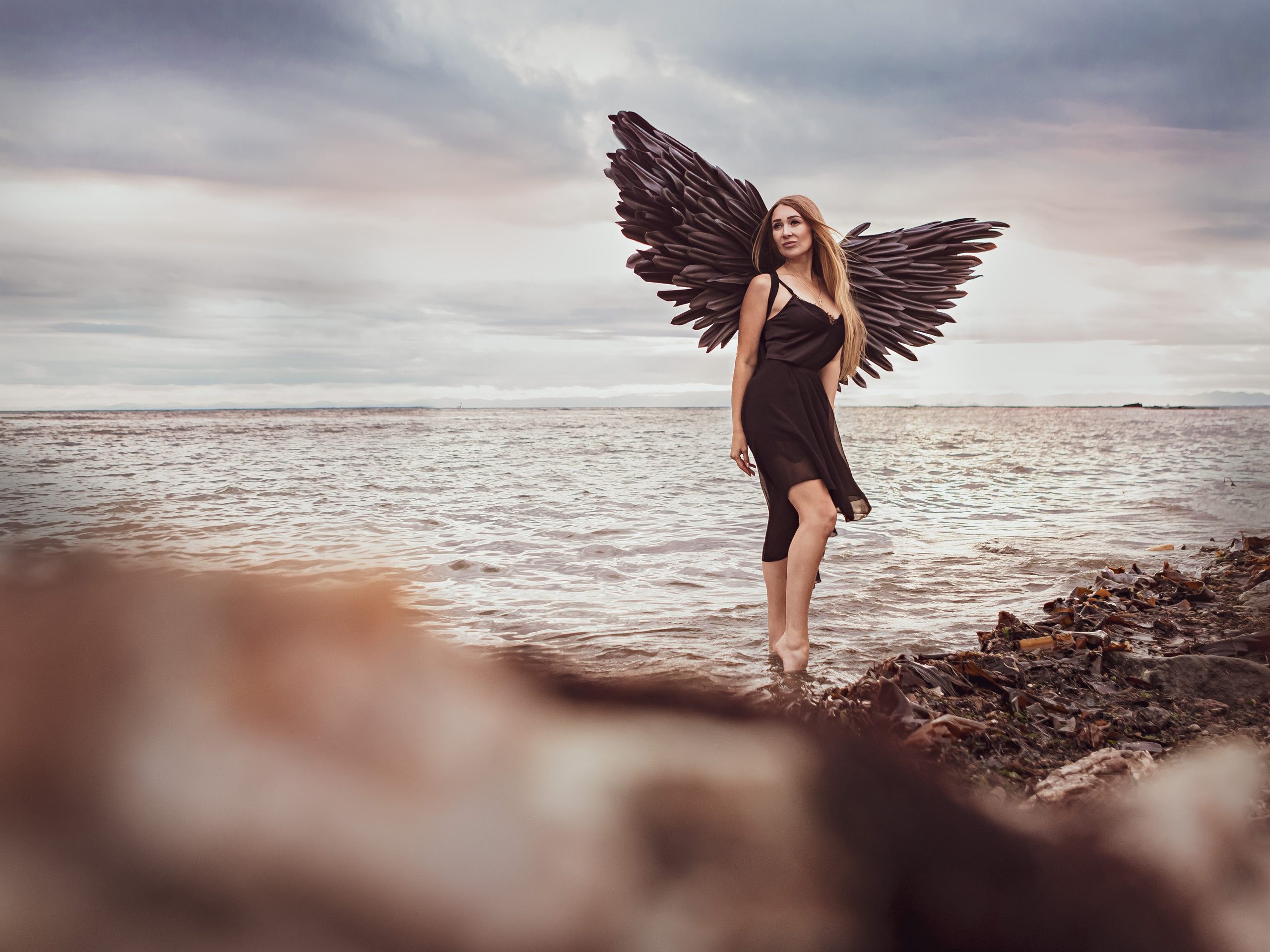 Крылья. Инга Кузьминская ТОП-фотограф г. Корсаков