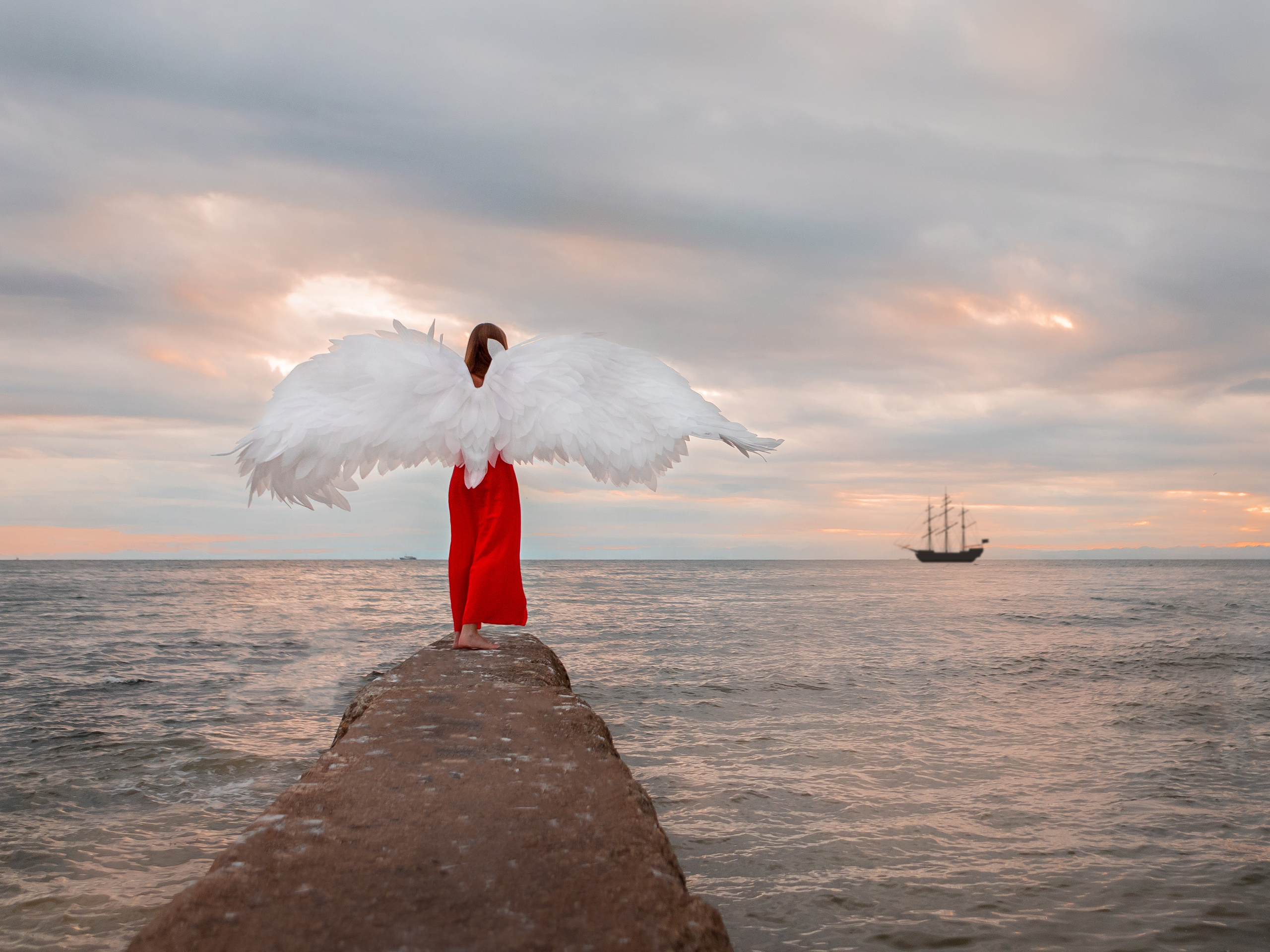 Крылья. Инга Кузьминская ТОП-фотограф г. Корсаков