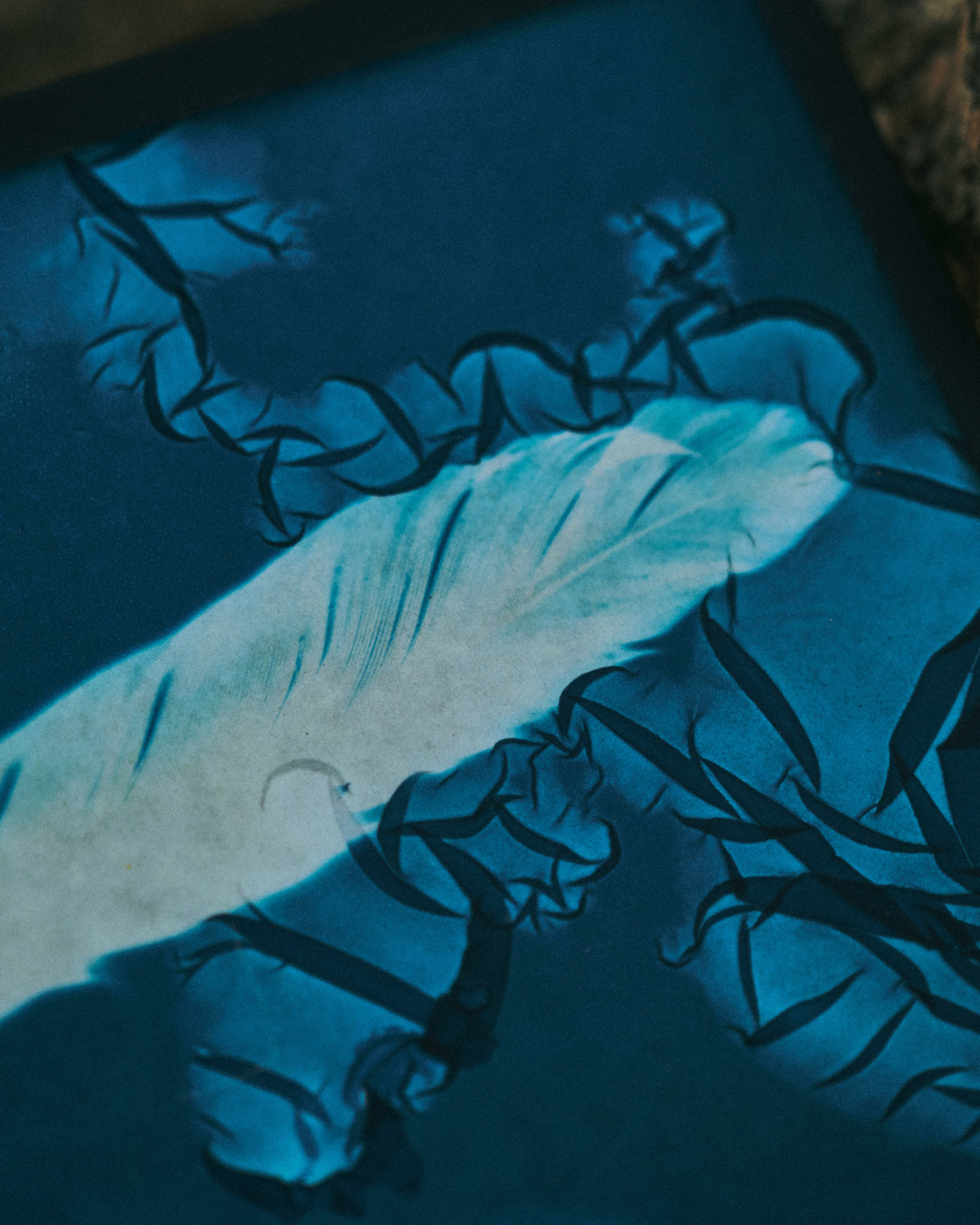 Alternative processe. Maria Norden