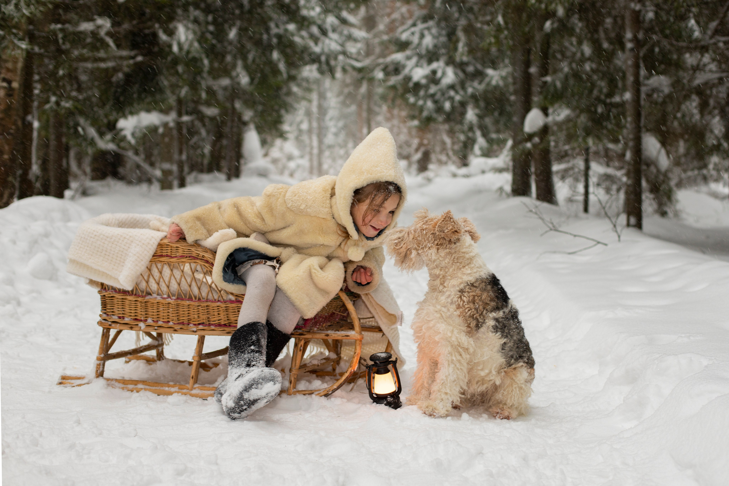 Зимний лес. Семейный и детский фотограф Кривутина Юлия