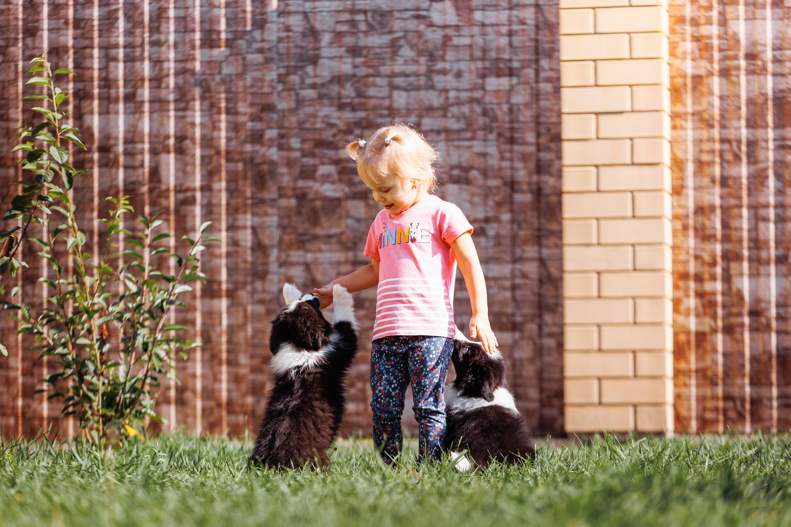 МММ — маленькое мягкое милое. О нас