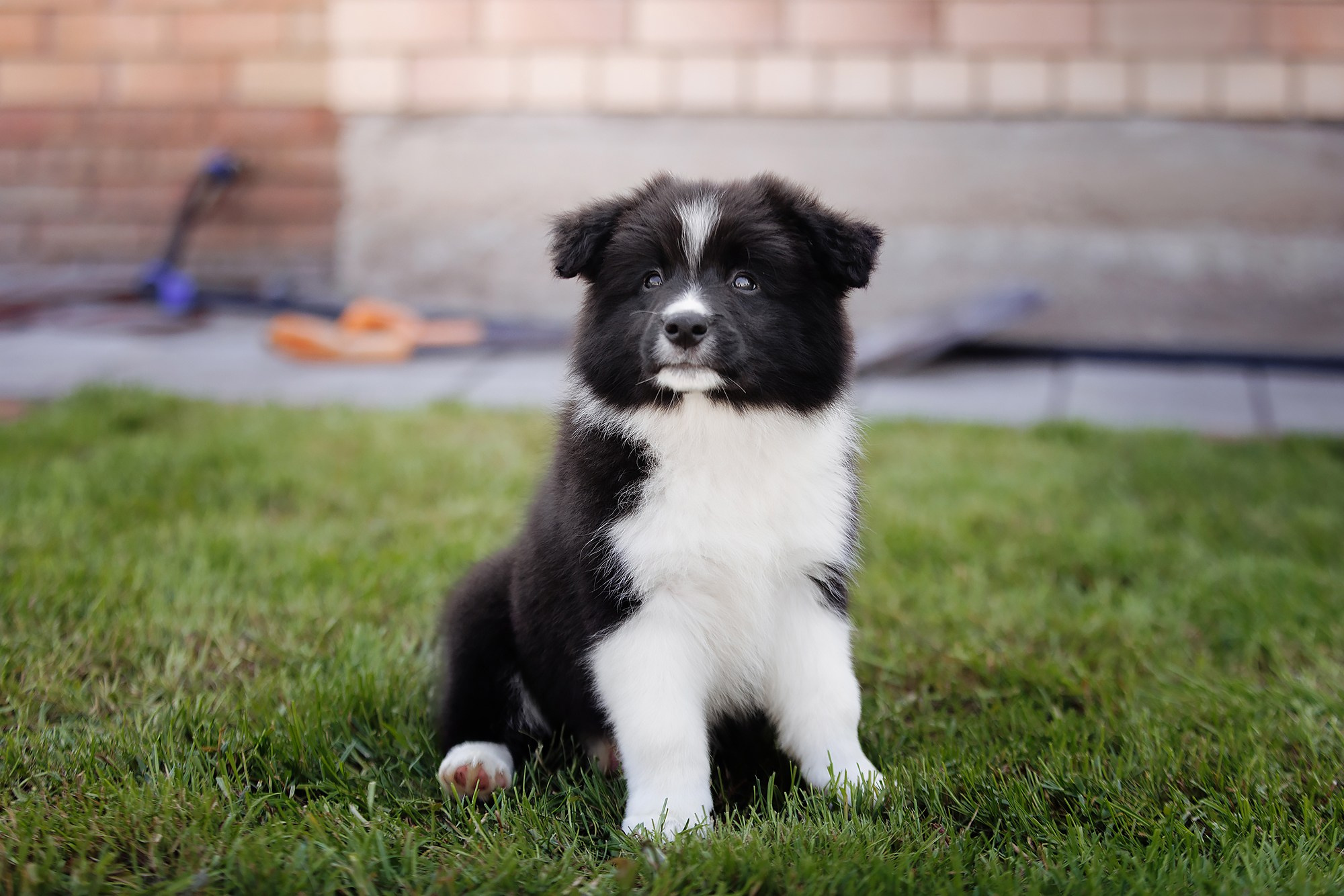 Трава у дома. О нас