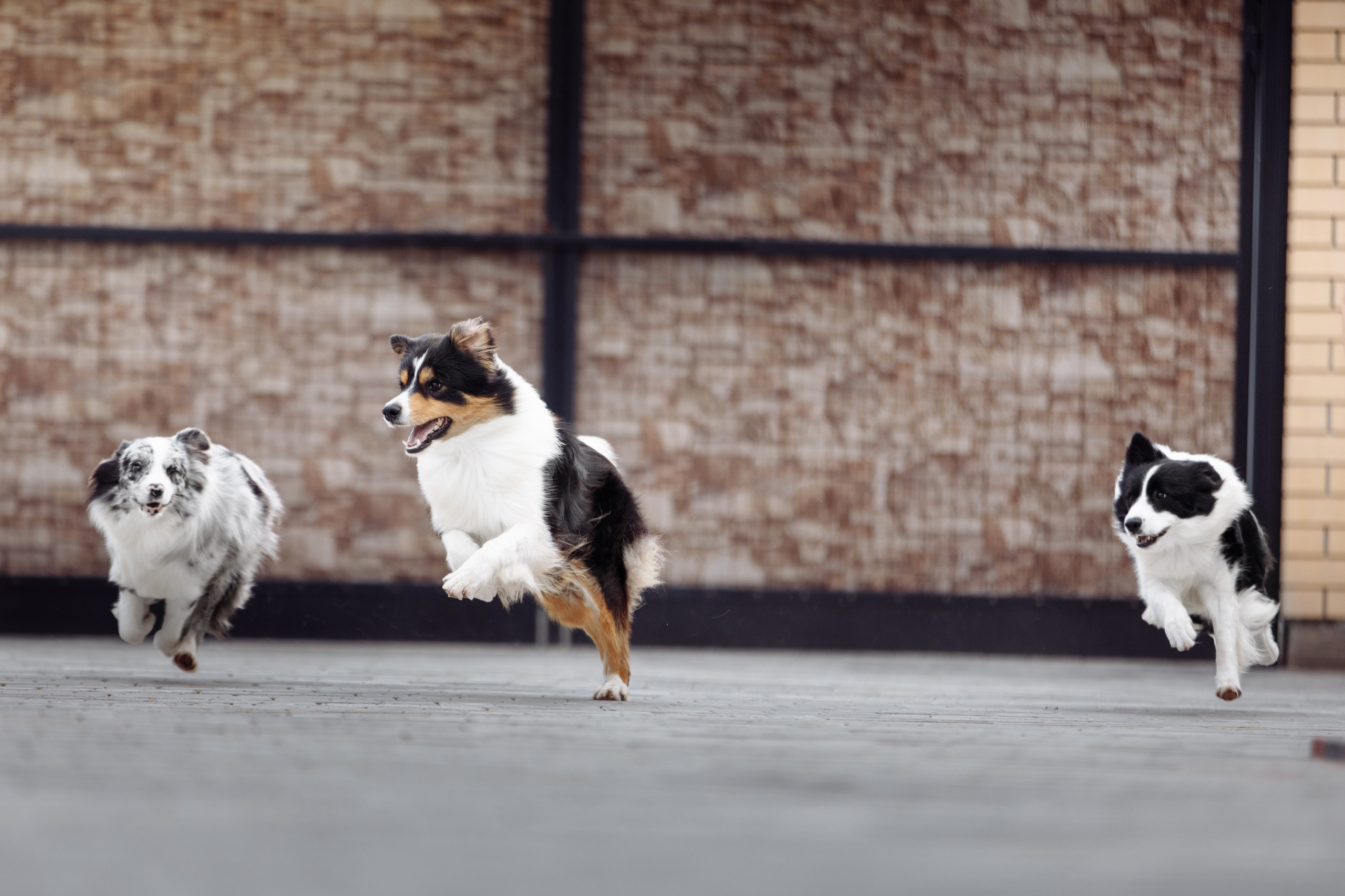 Свое место. О нас