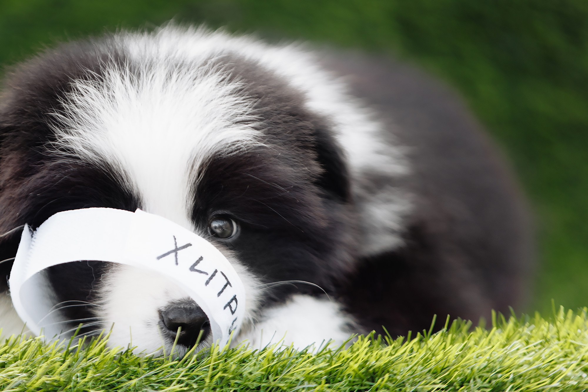 Новый лист. О нас