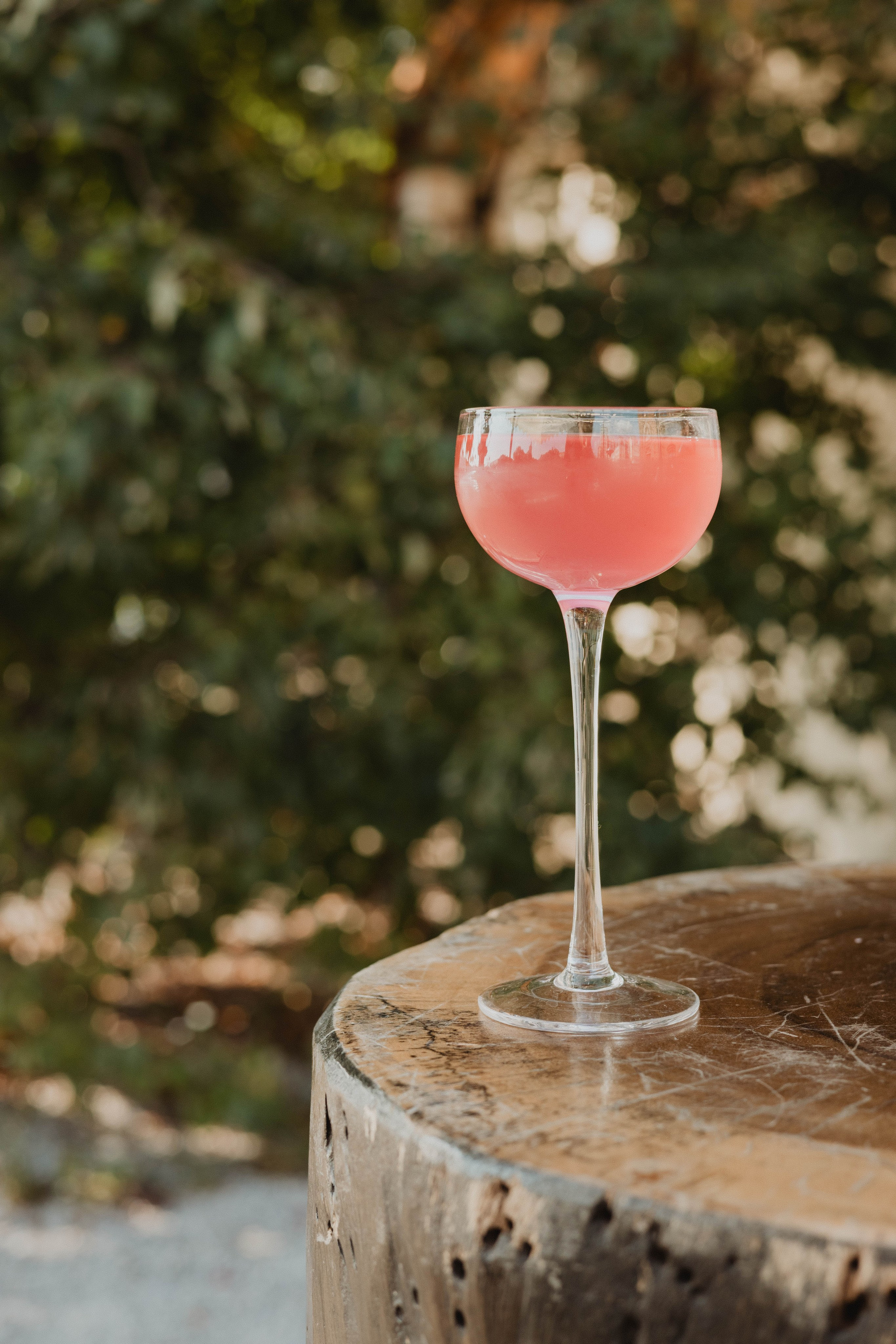 Репортажная съемка выездного бара на мероприятии | Николай Завалишин. NICKZAVALISHIN — Визуал который продаёт