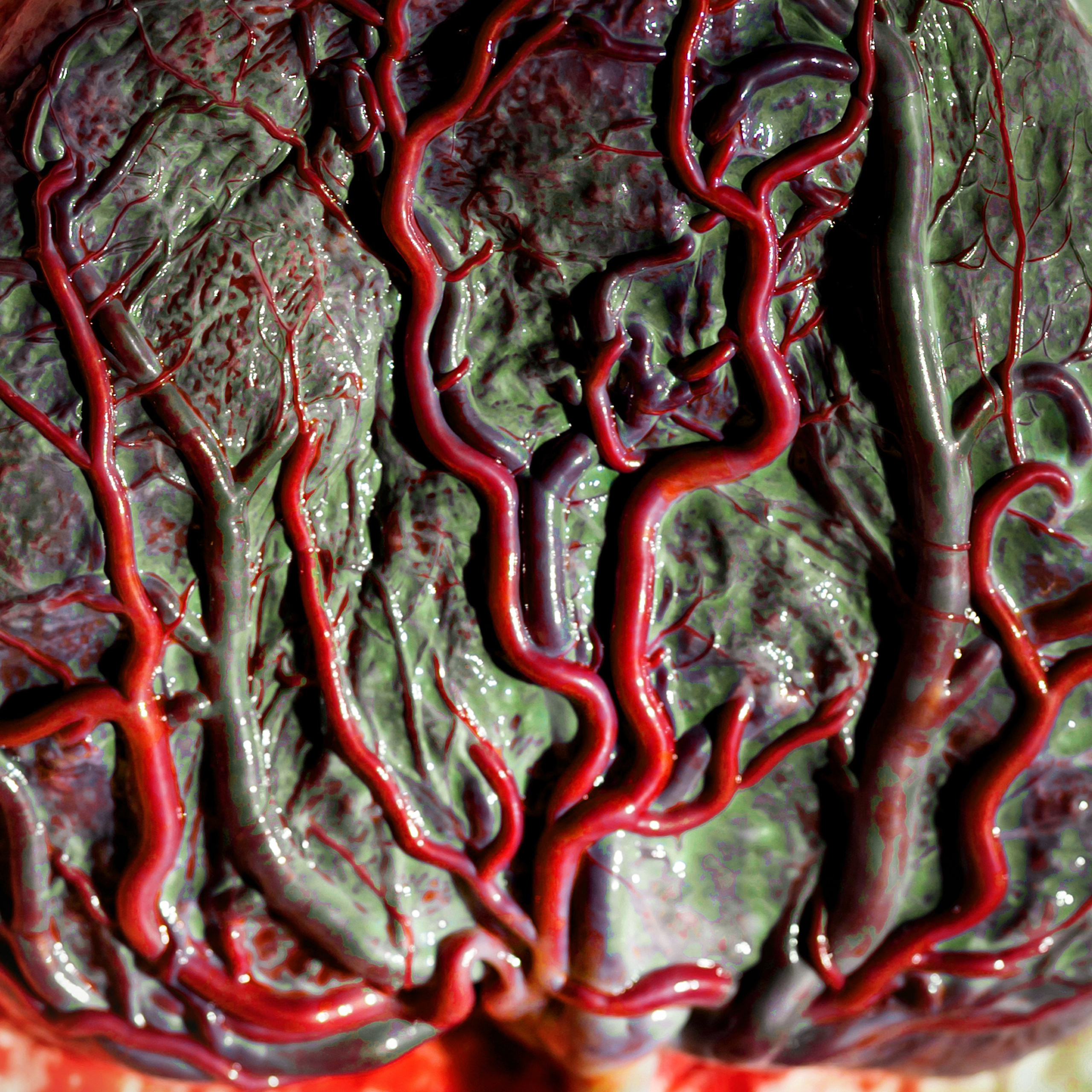 Фотосессия родов. Фотограф Юлия Кондратьева