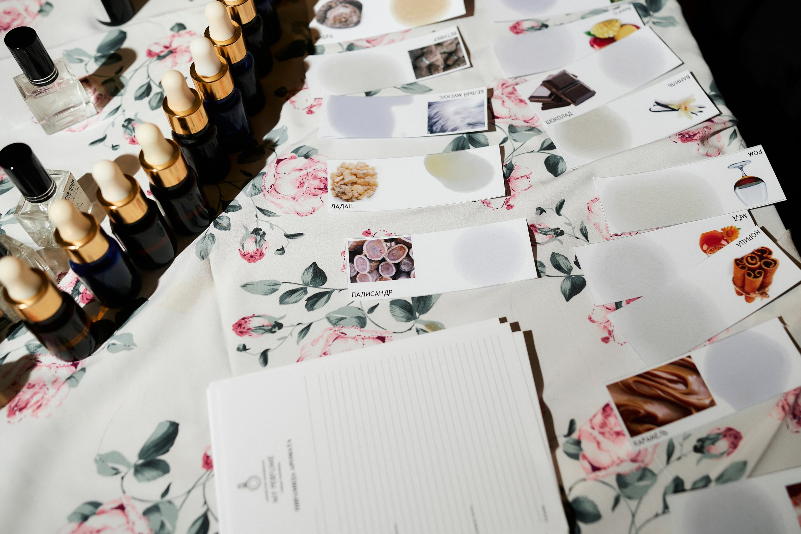 Cava. Night2Day Санкт-Петербург