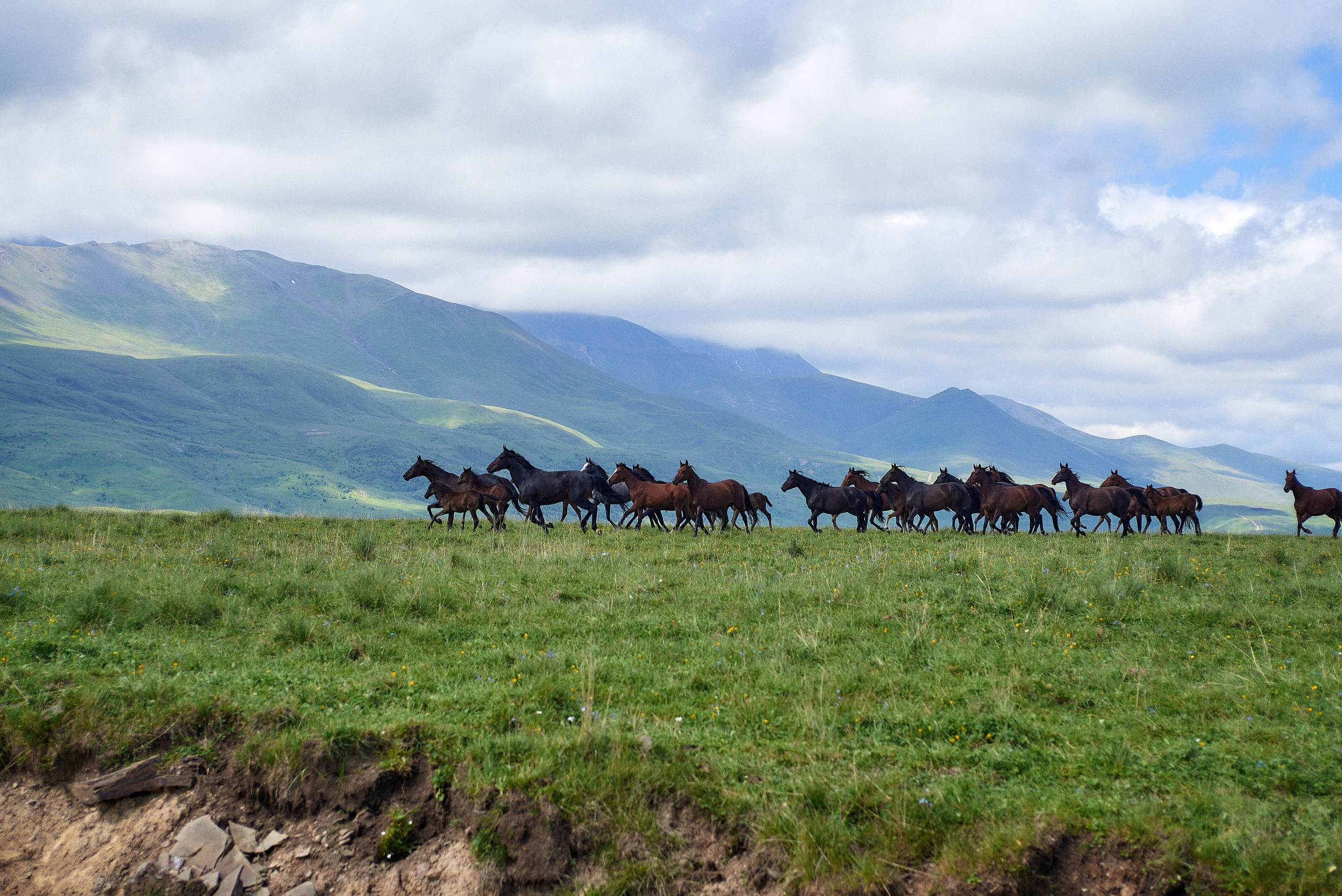 Фотосессия в горах Кавказа с выездом из Кисловодска
