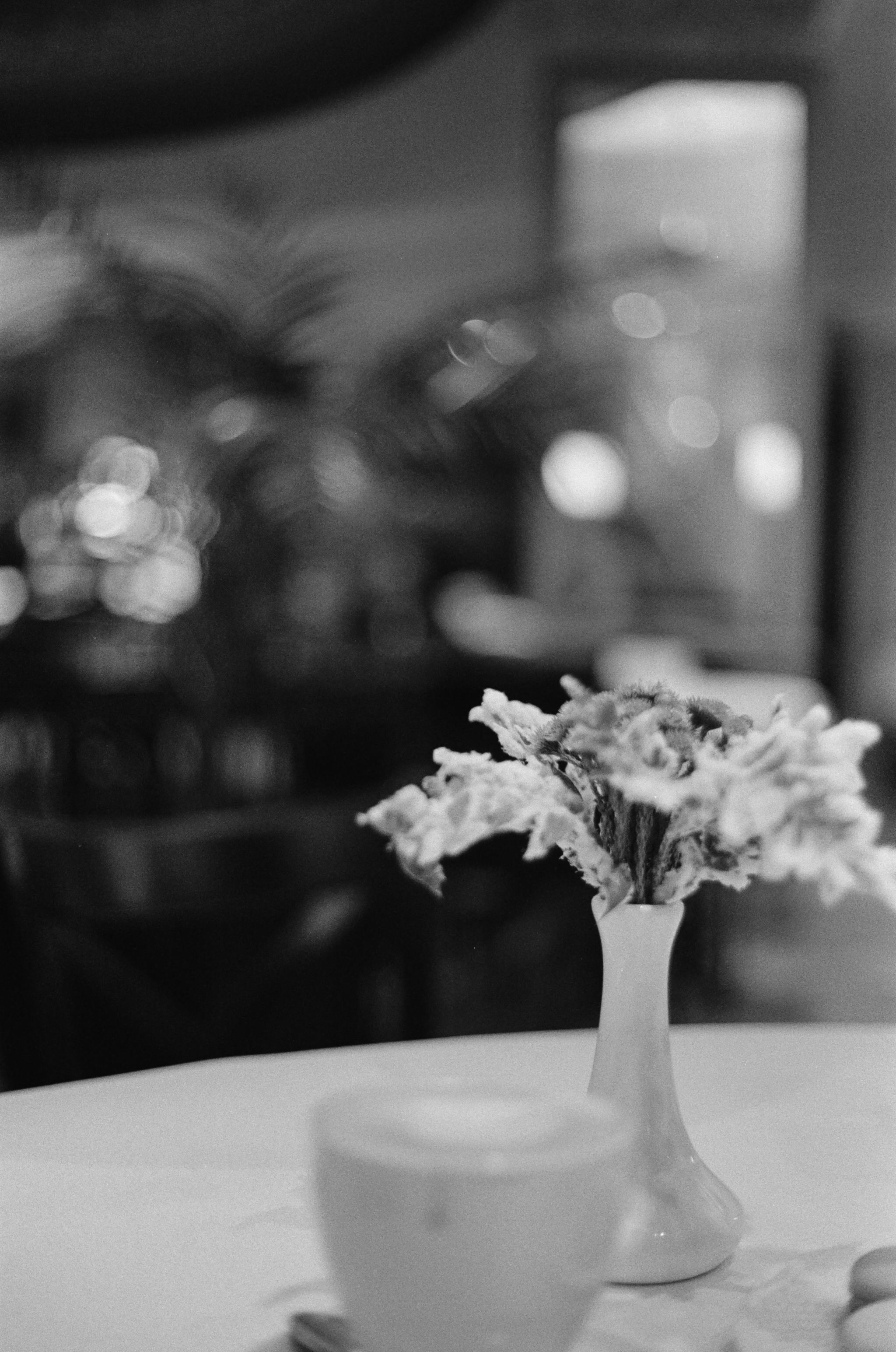 Примеры фотографий Yashica Electro 35 GSN