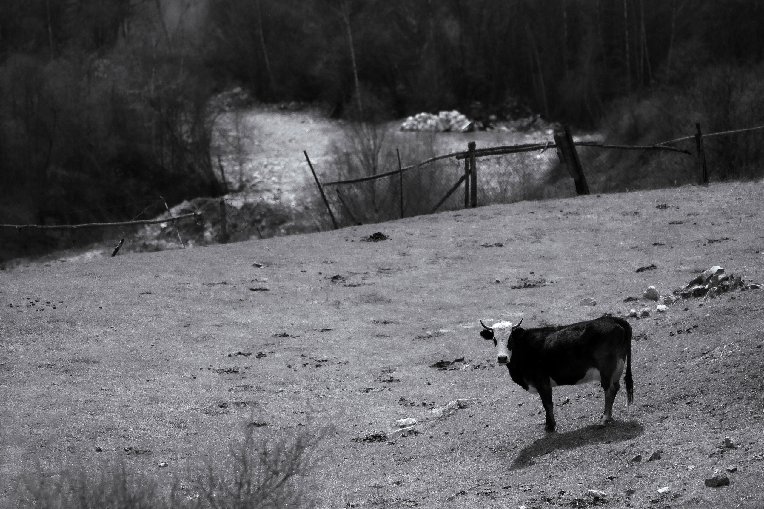 Ч.б. фотографии. Фотографии Лены Соколовой