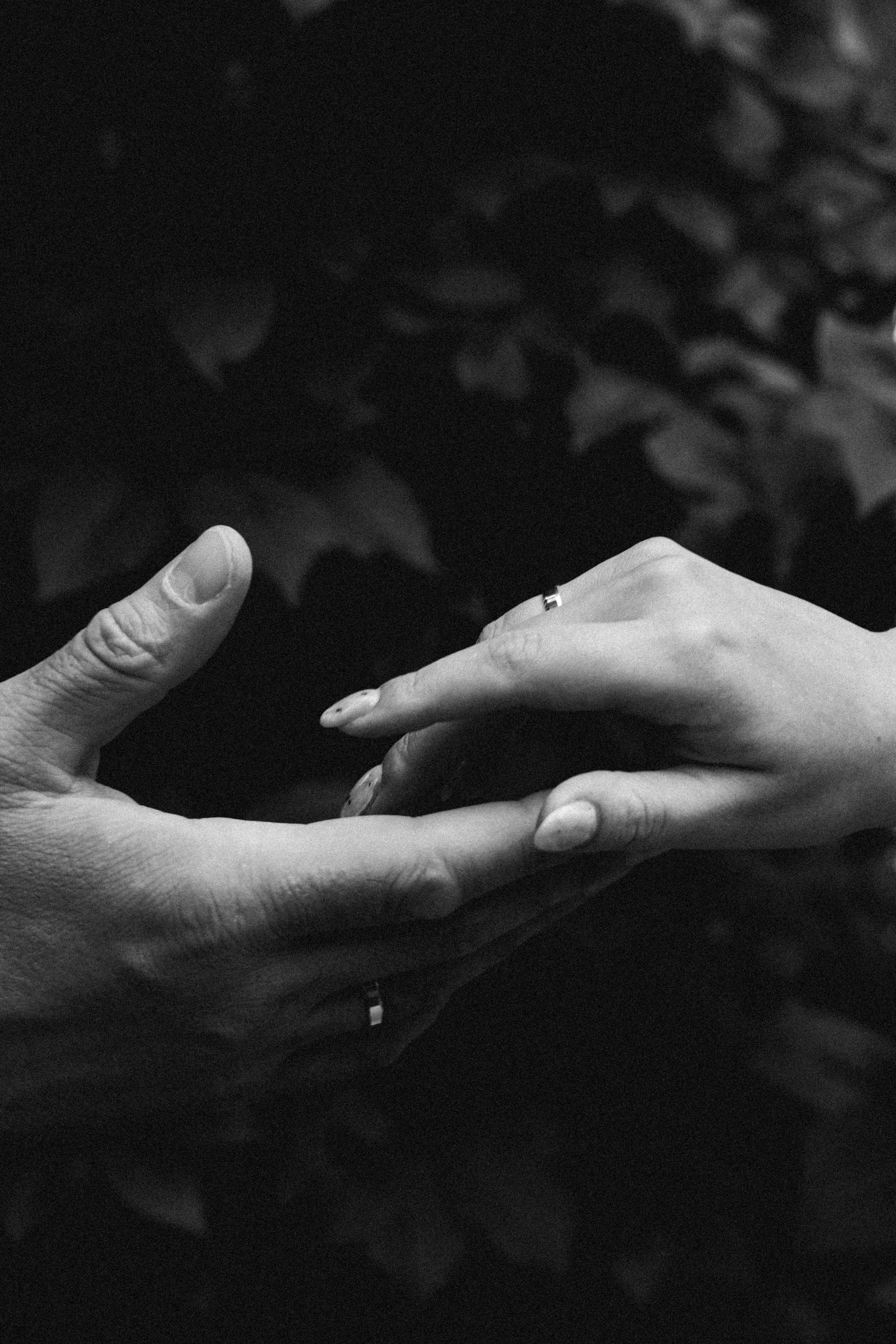 Андрей и Екатерина. Смирнова Алена Фотограф Екатеринбург