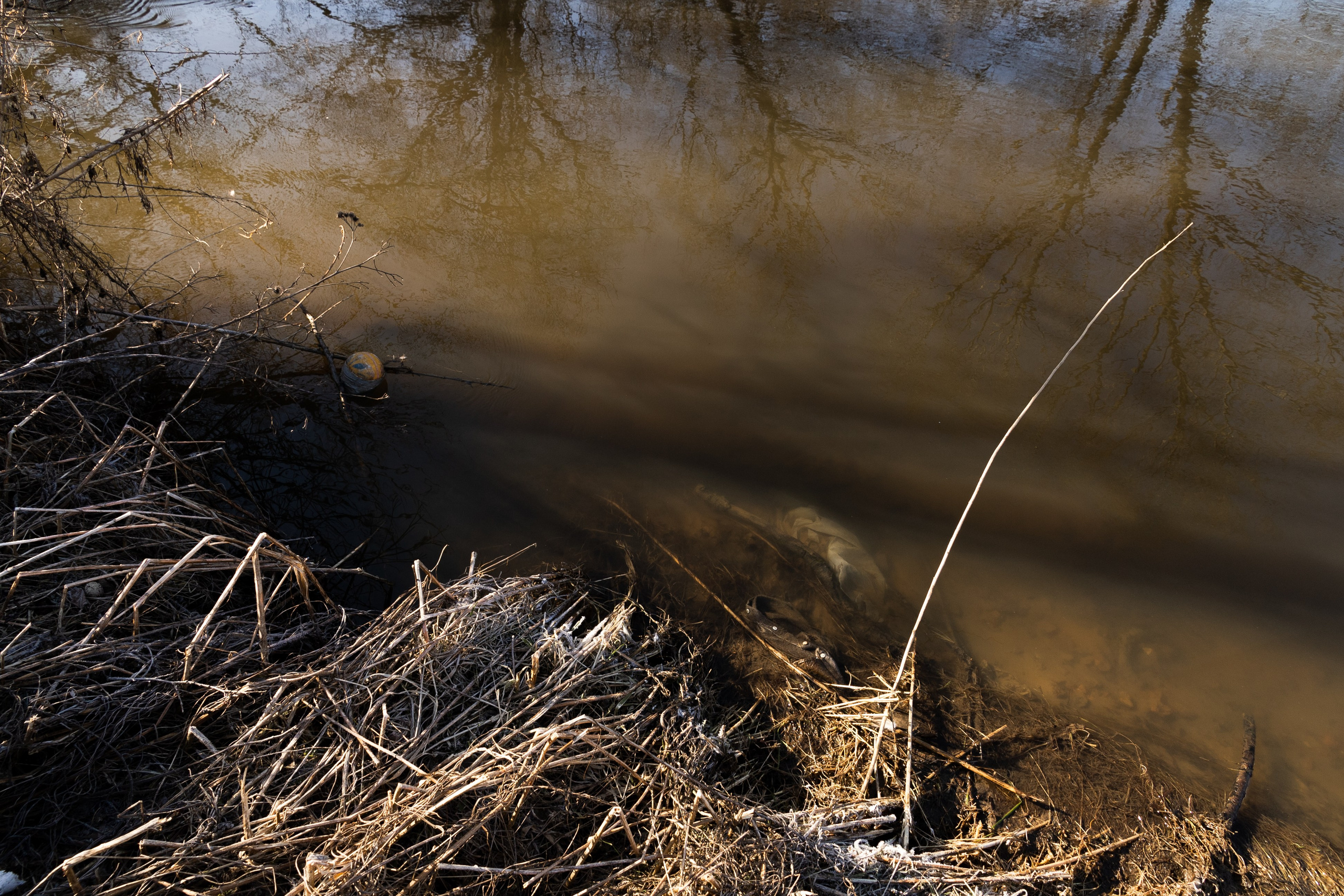 Я здесь живу. DASHA KALNINA