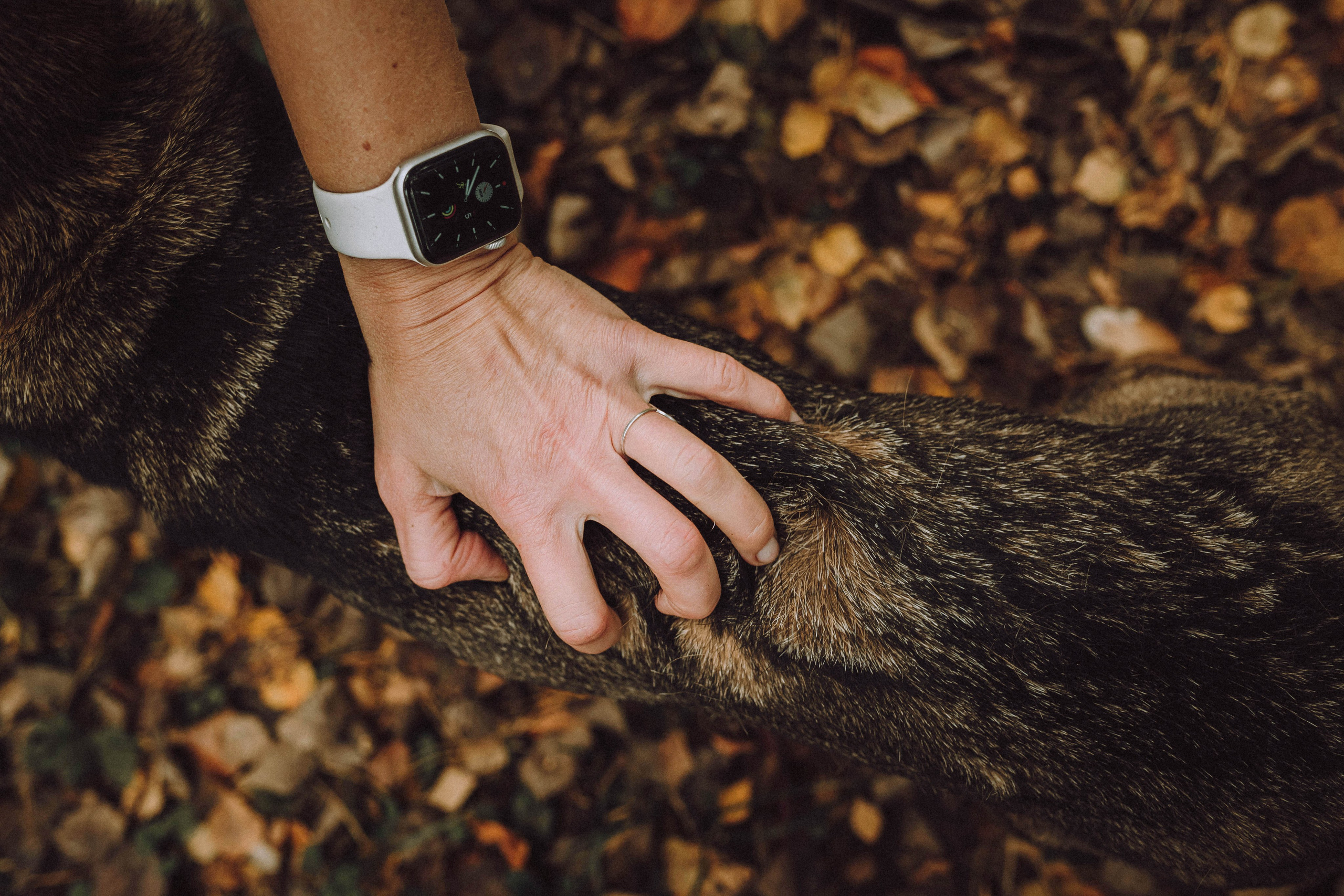 Аня, Нео и Луна