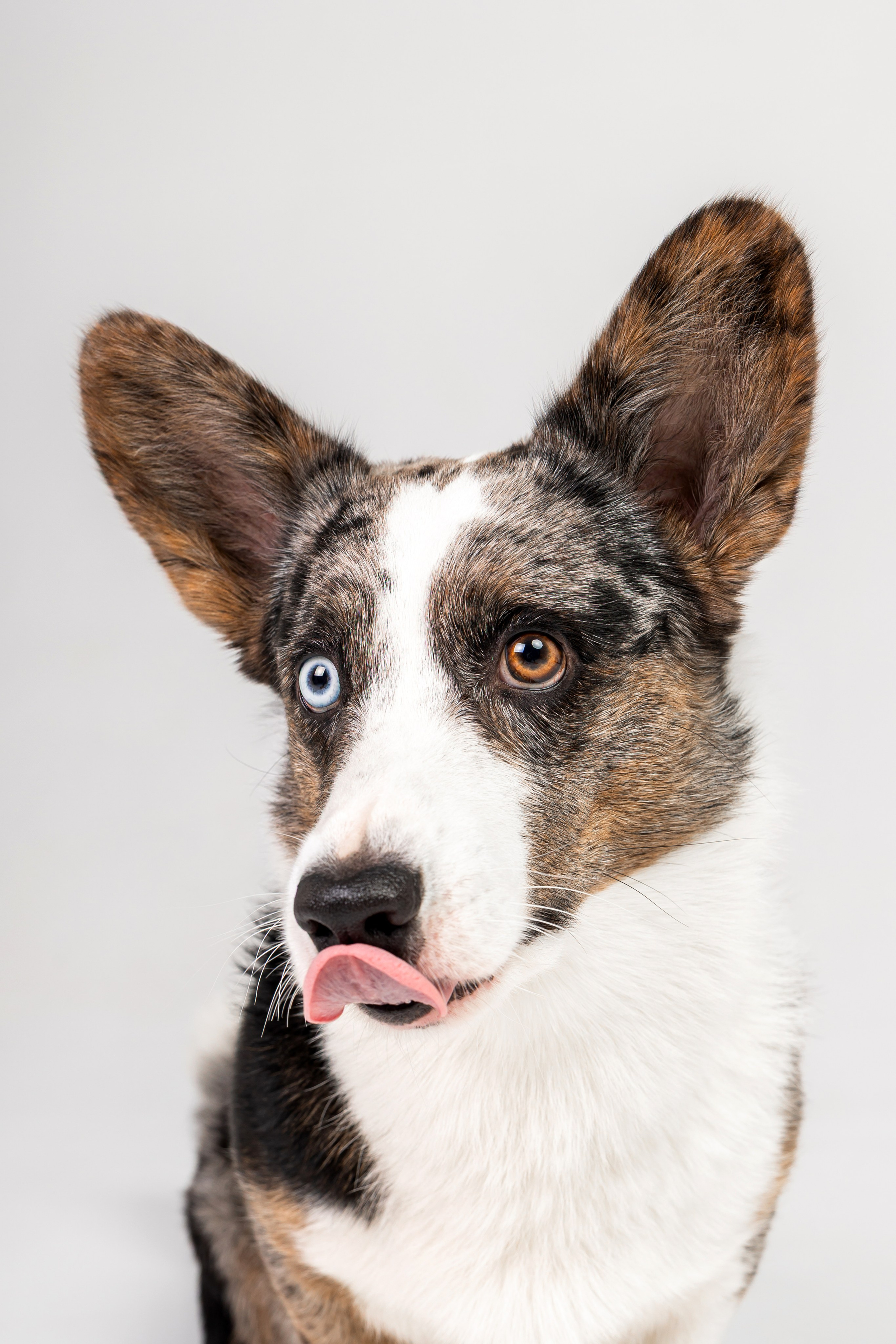 Анатолий и Рагнар