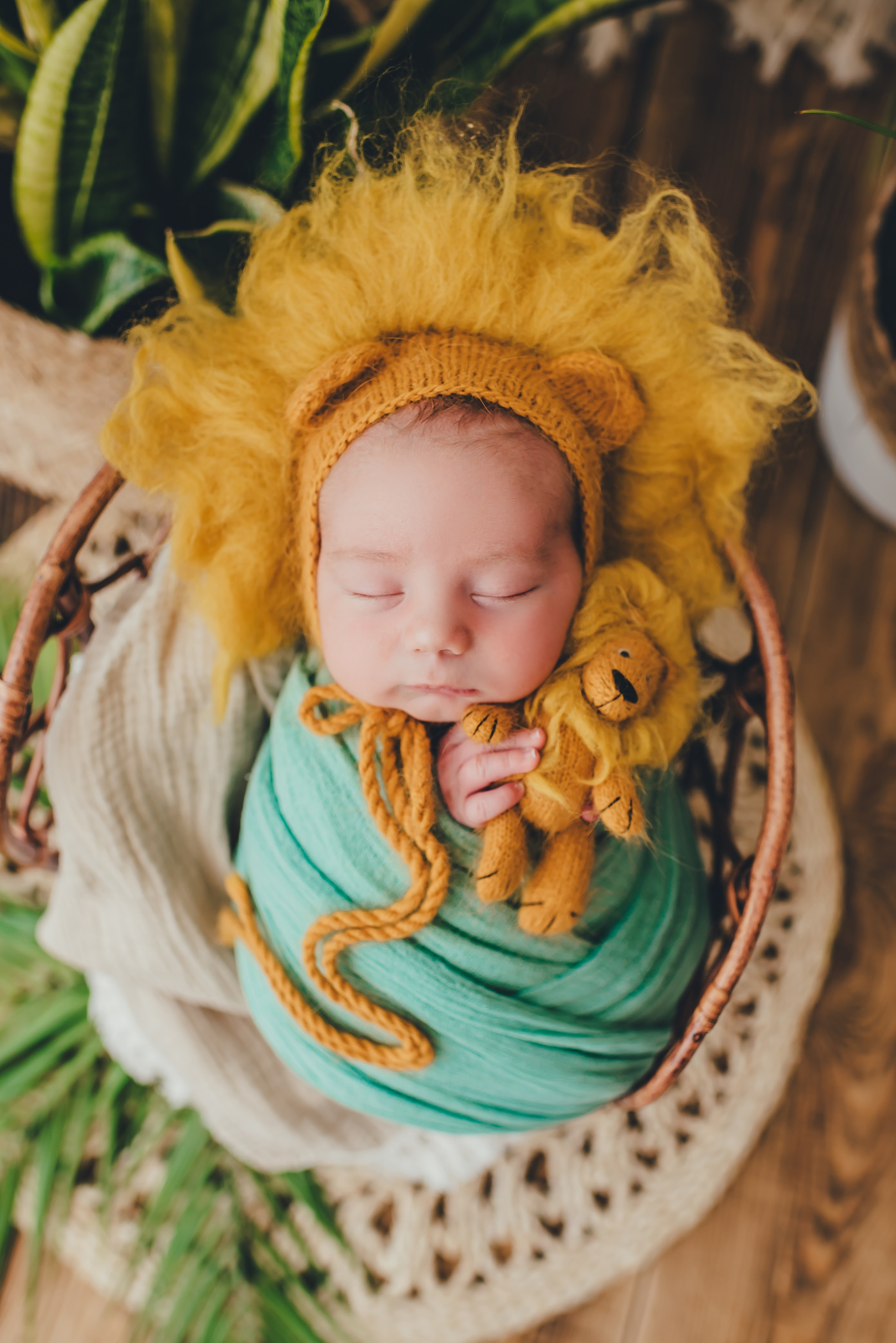 Фотографии новорожденных. Петрова Евгения фотограф новорожденных в Барнауле. Евгения Петрова — семейный и детский фотограф, фотограф новорожденных в Барнауле