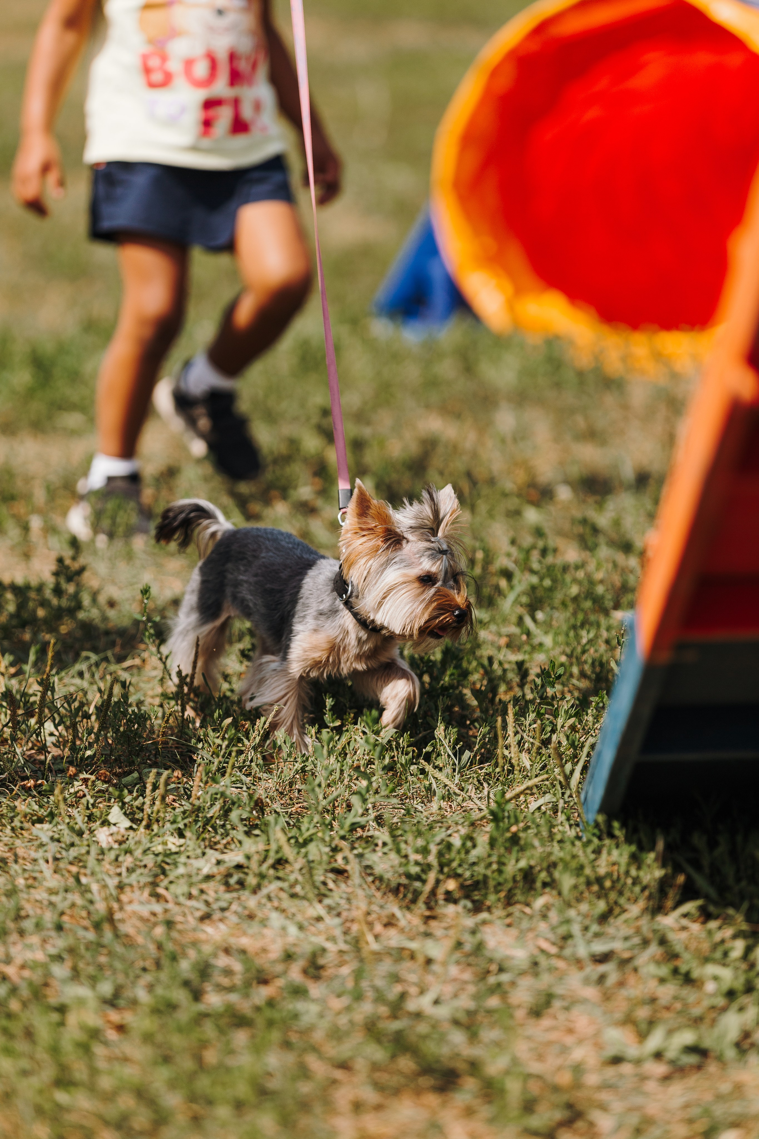 Petshop Sup day. Фотограф анималист Кристина Карпова, Москва