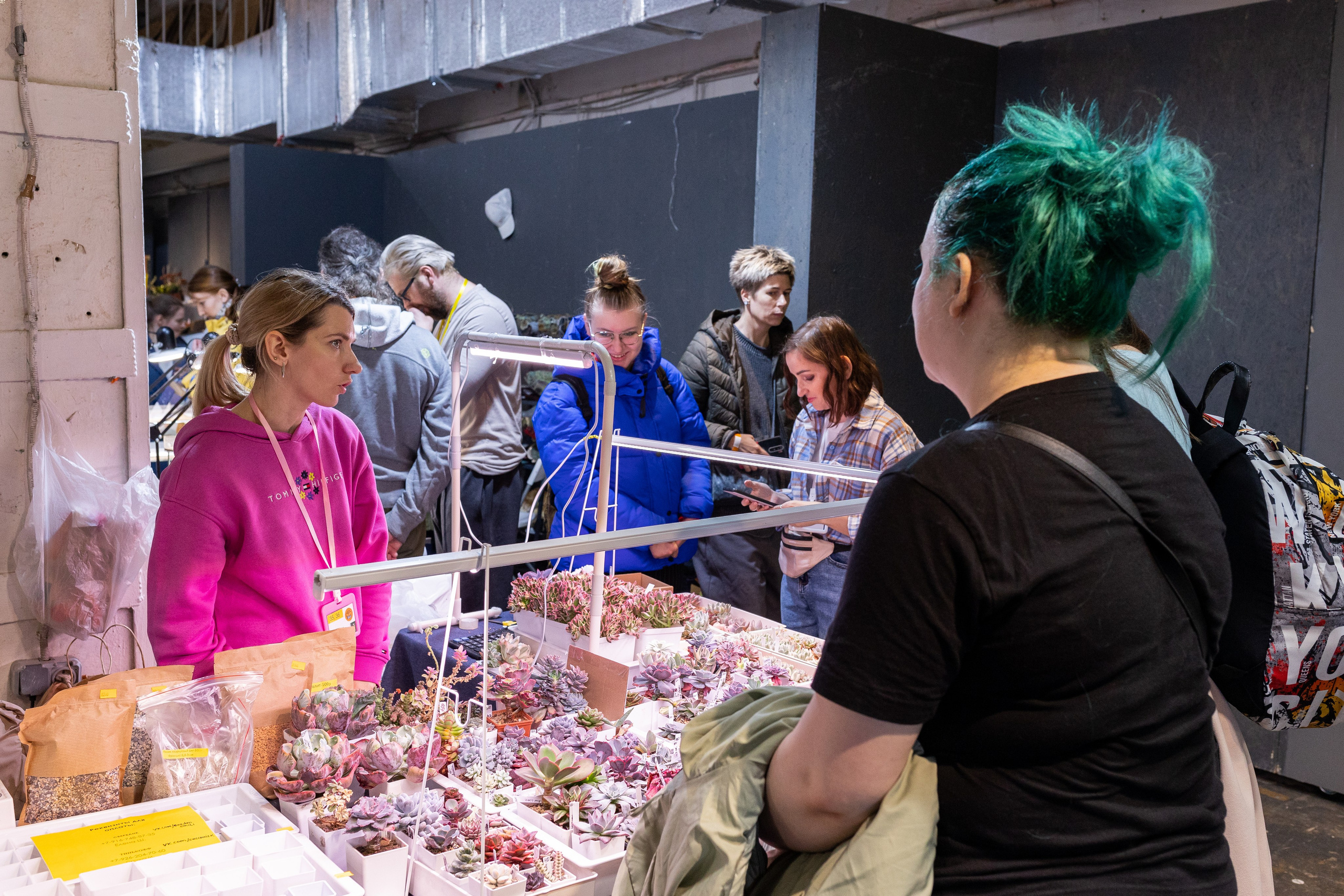 Meza market 2024. Александра Куликова фотограф, Москва