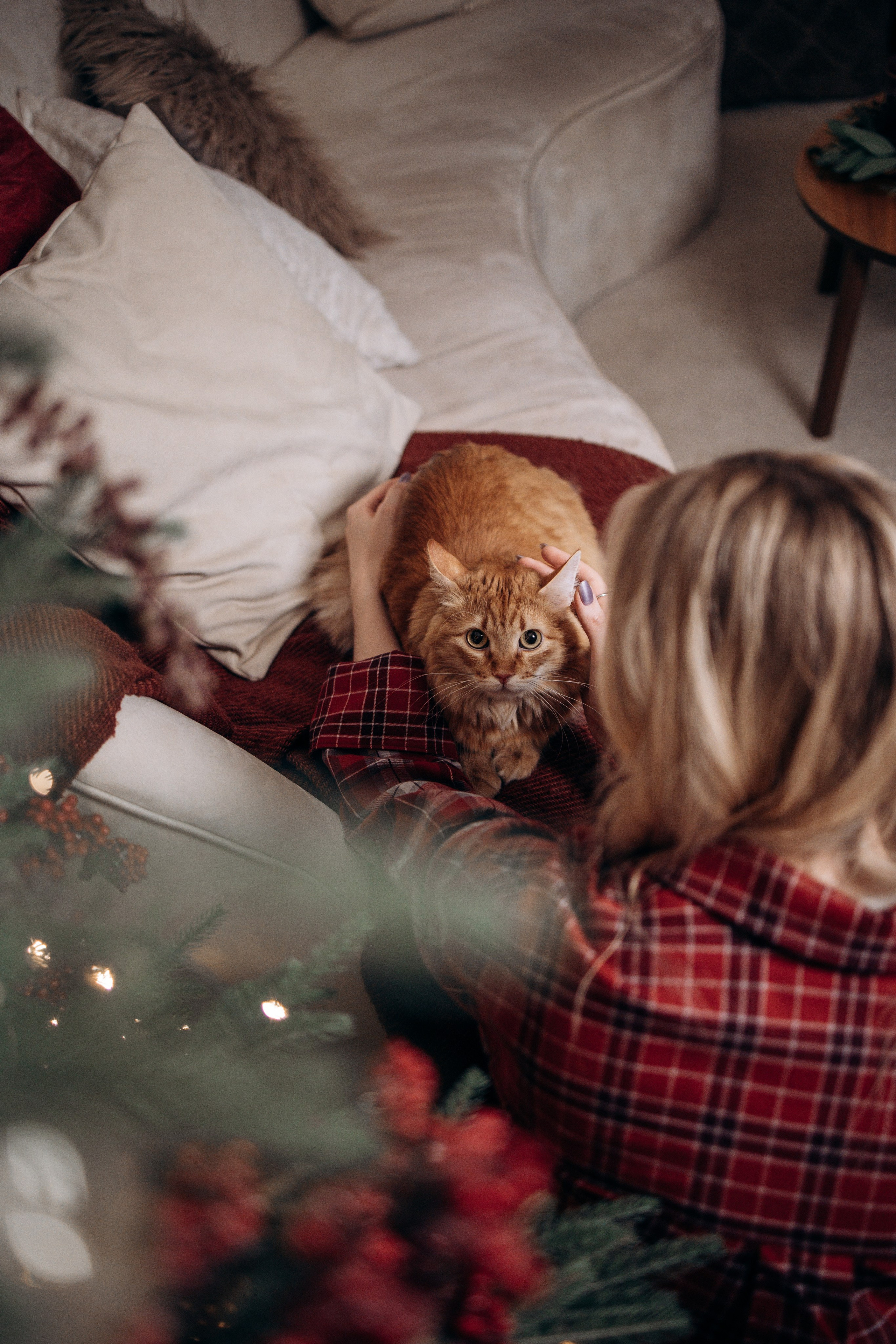 Эля и Франц. Фотограф — Анималист | Санкт-Петербург