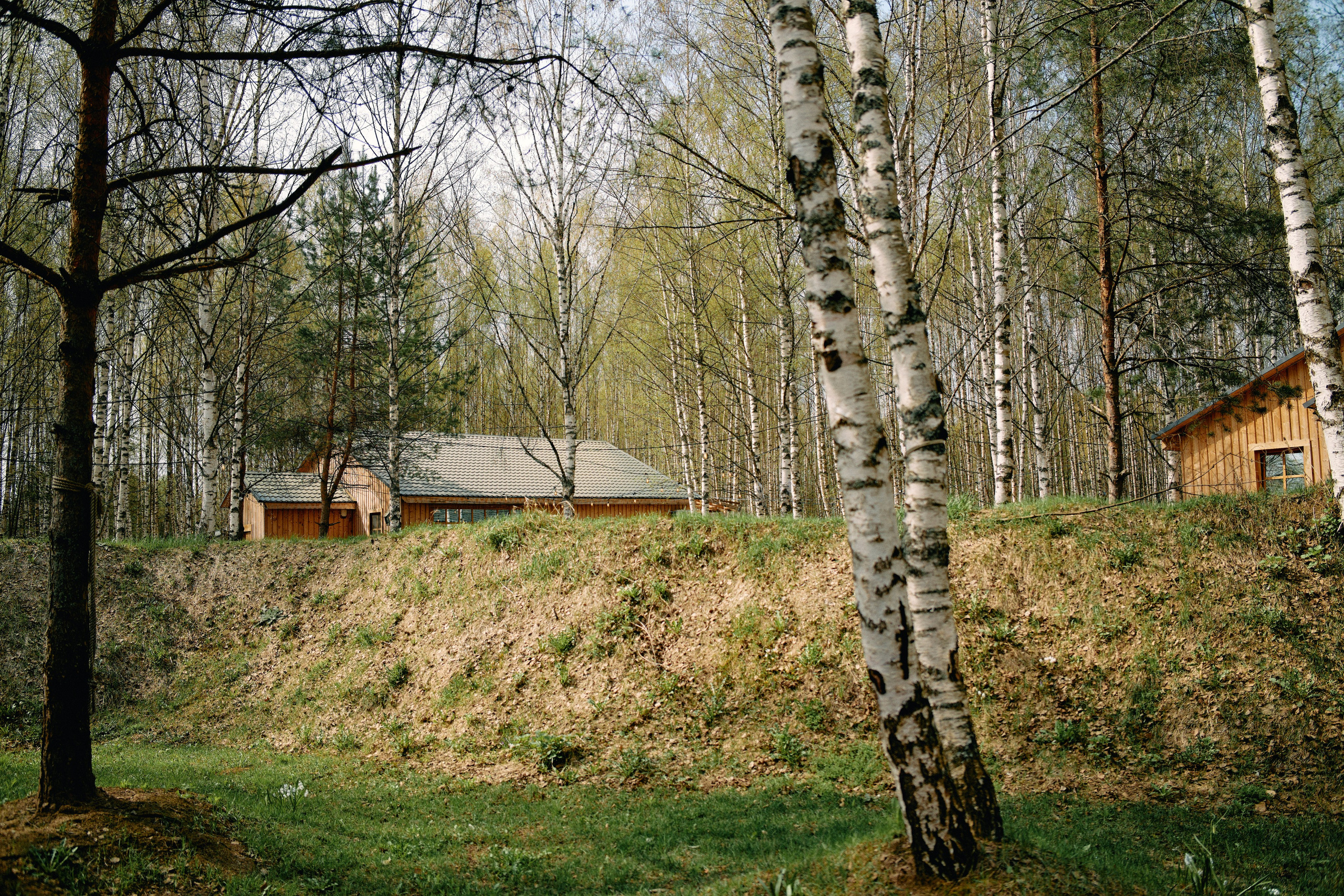 Бутик-отель Поле летом. Профессиональный Фотограф во Владимире, в Москве и в Суздале — Полина Романычева