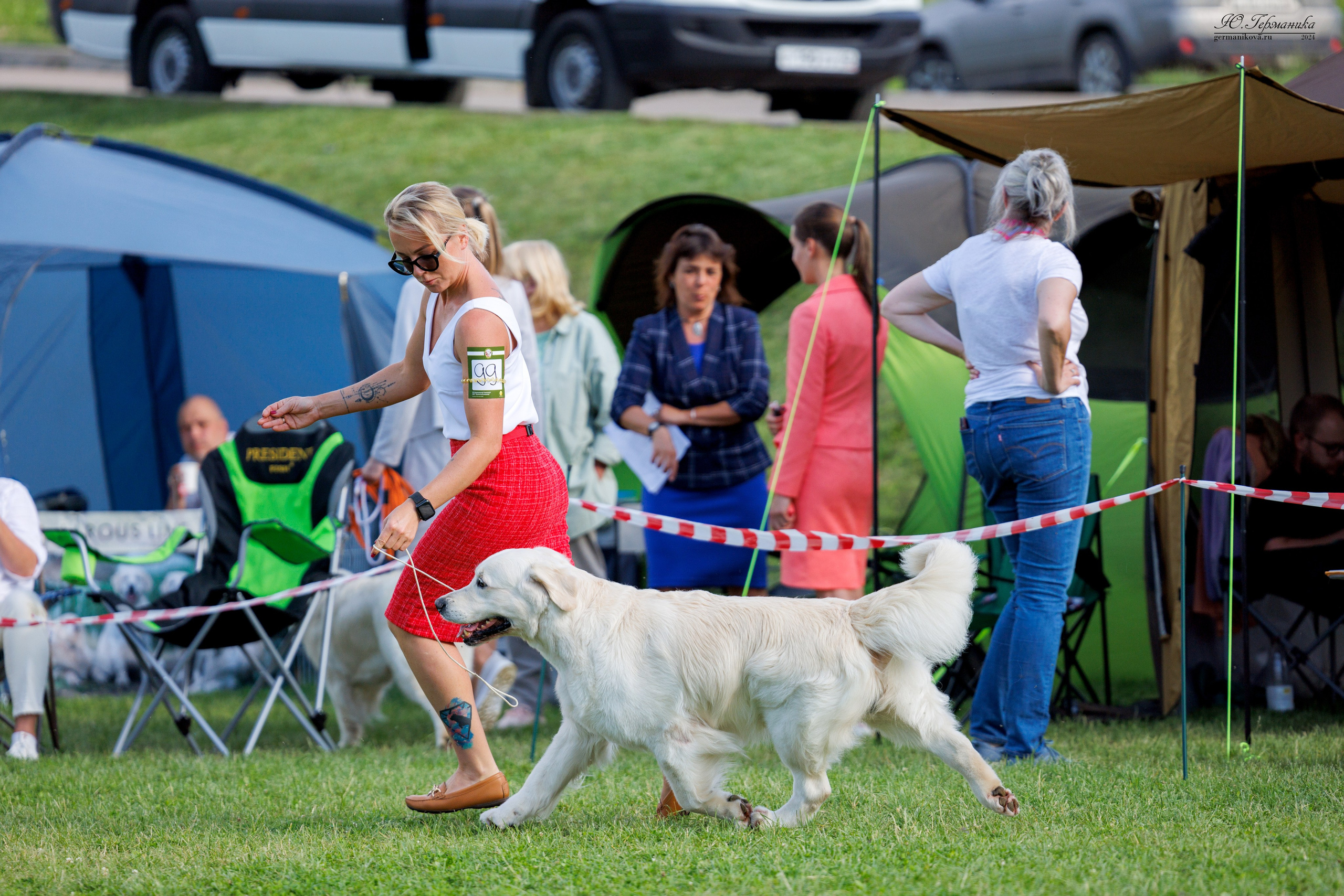 Голдены 15-16.06.2024. Фотограф-анималист Юлия Германика