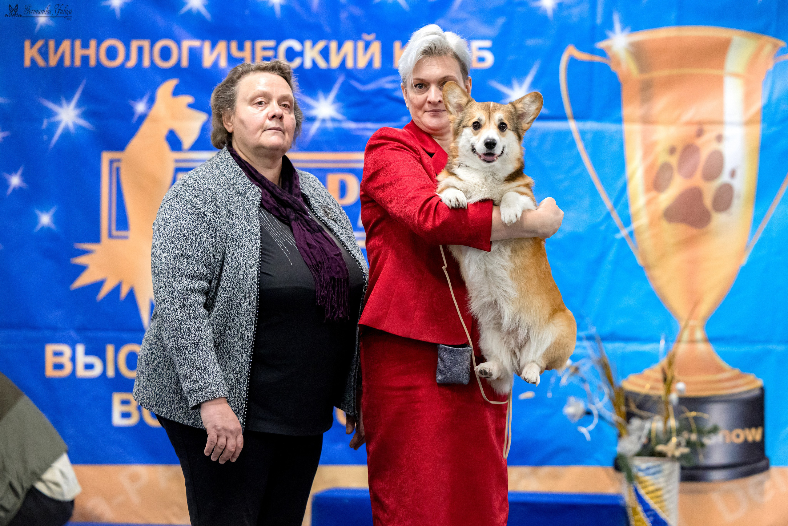 Сфера 29.10,Крокус 4.11,Сфера 12.11.2023. Фотограф-анималист Юлия Германика