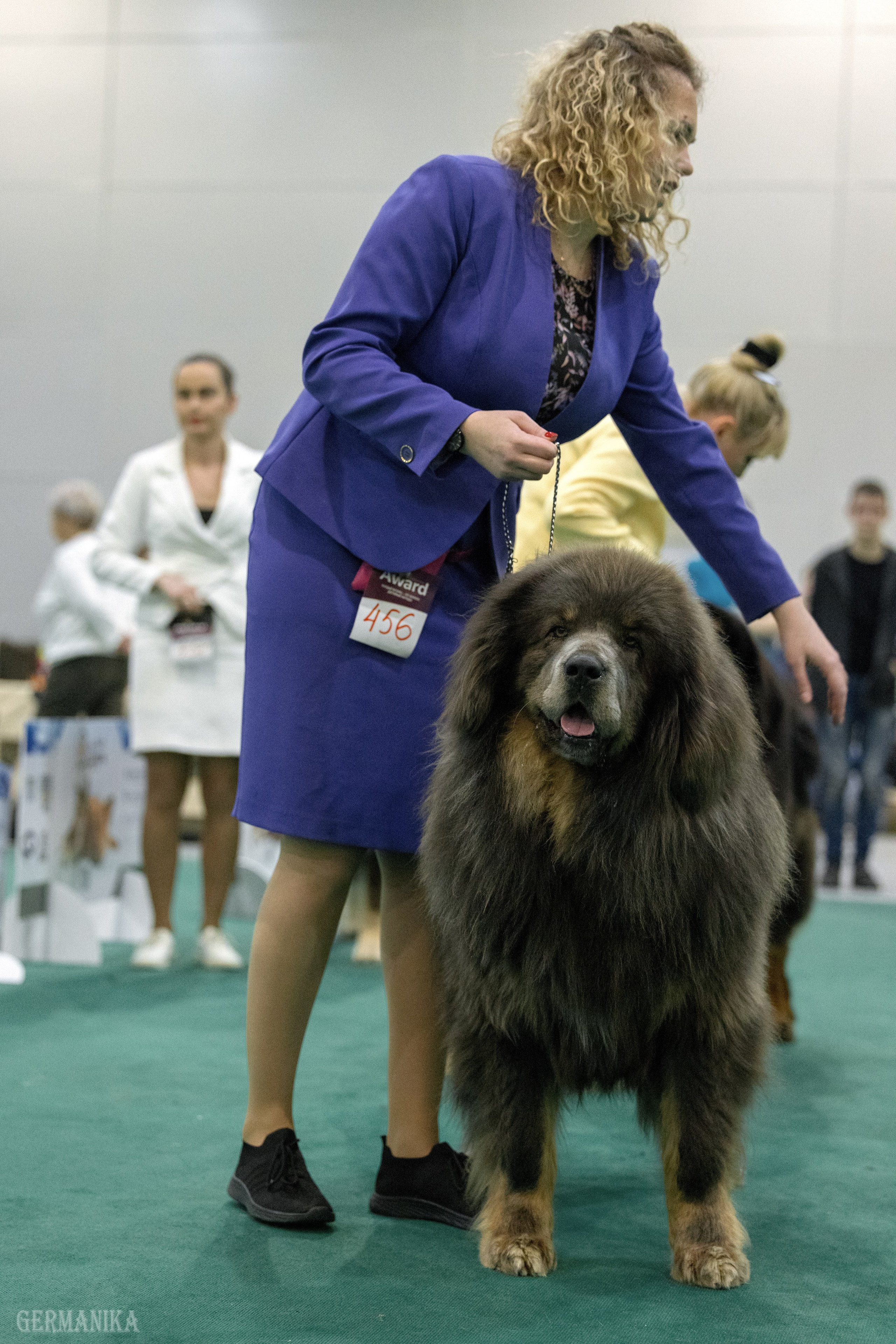 Сабанеевка 26-27.01.2024. Фотограф-анималист Юлия Германика