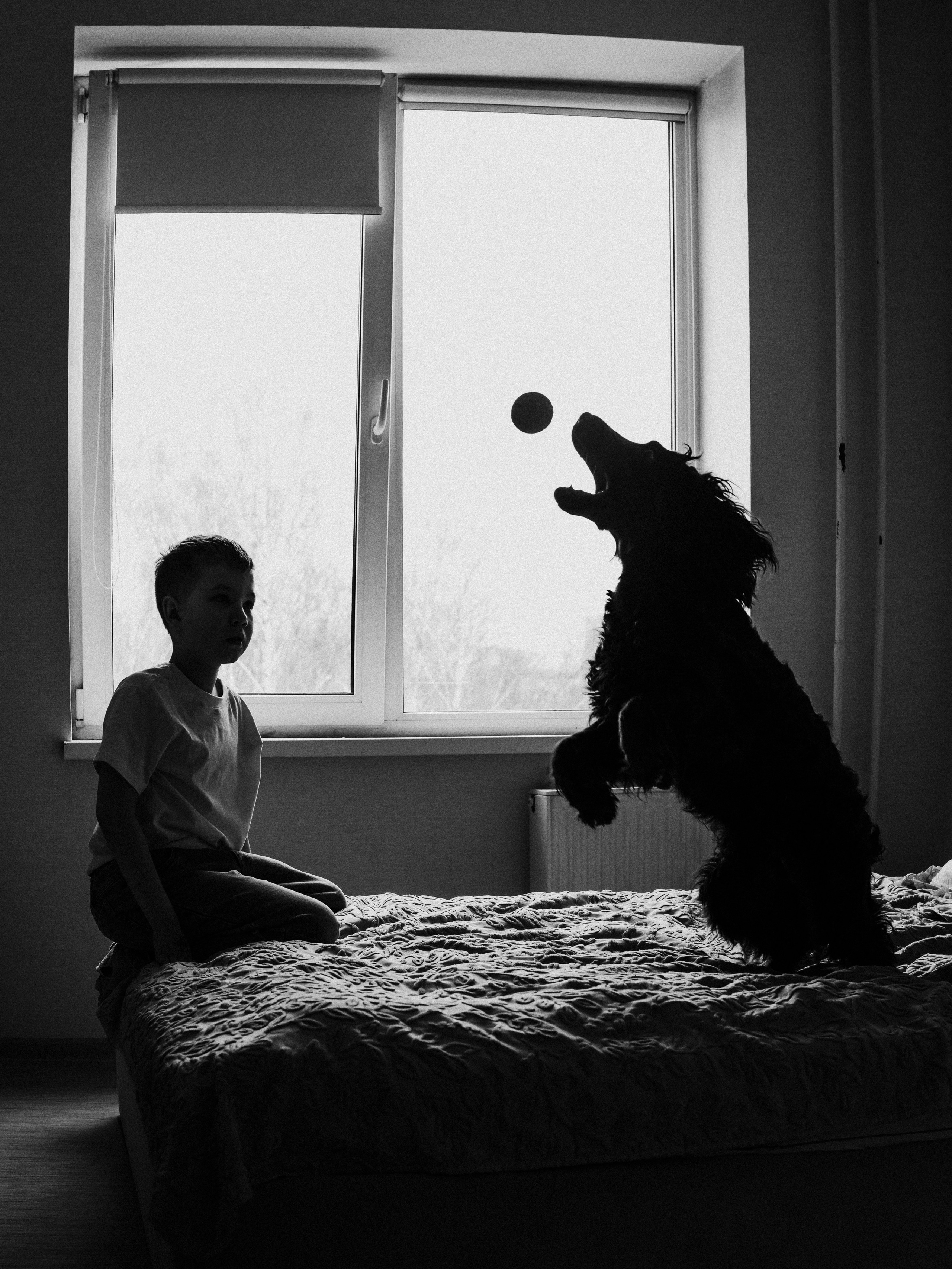 Четверо и собака. Ася Краснова