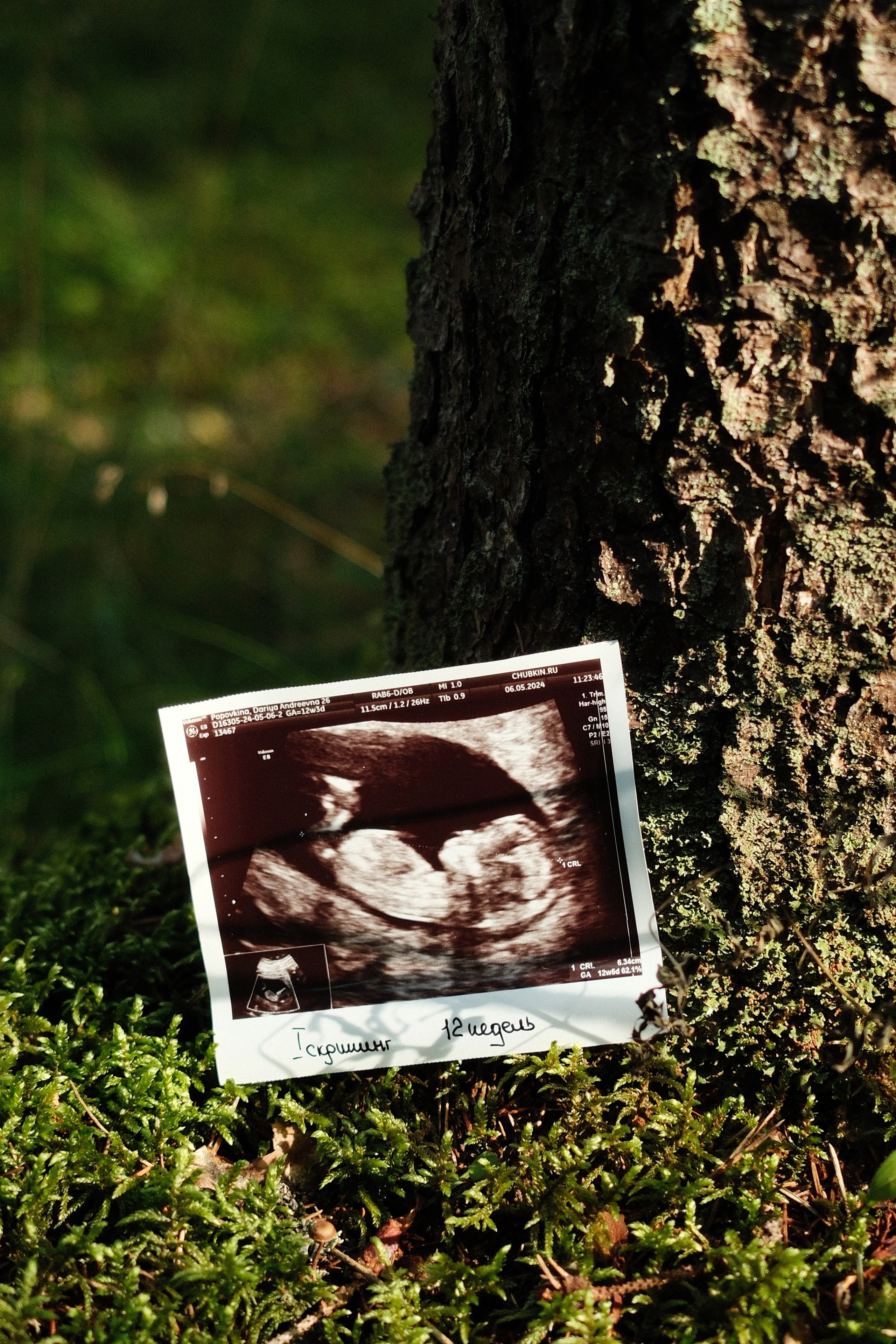 Семейные. Свадебный и семейный фотограф в Санкт-Петербурге Дмитрий Панин