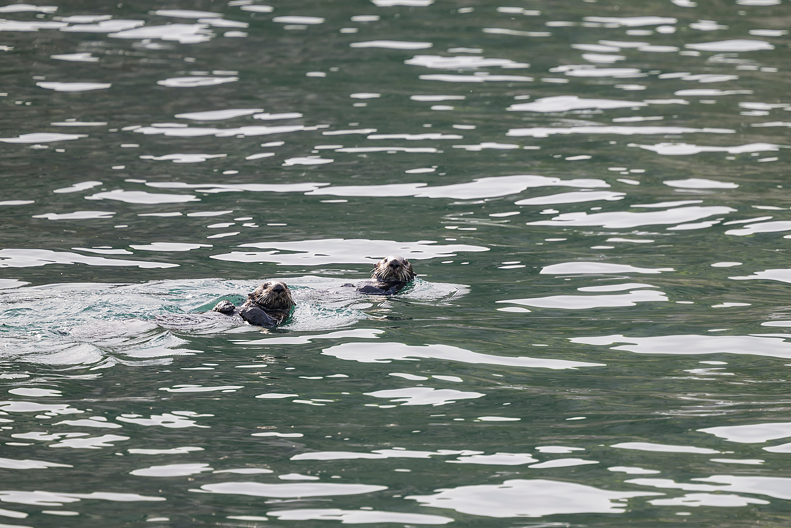 Камчатка. Портретный фотограф в Челябинске Катерина Руди