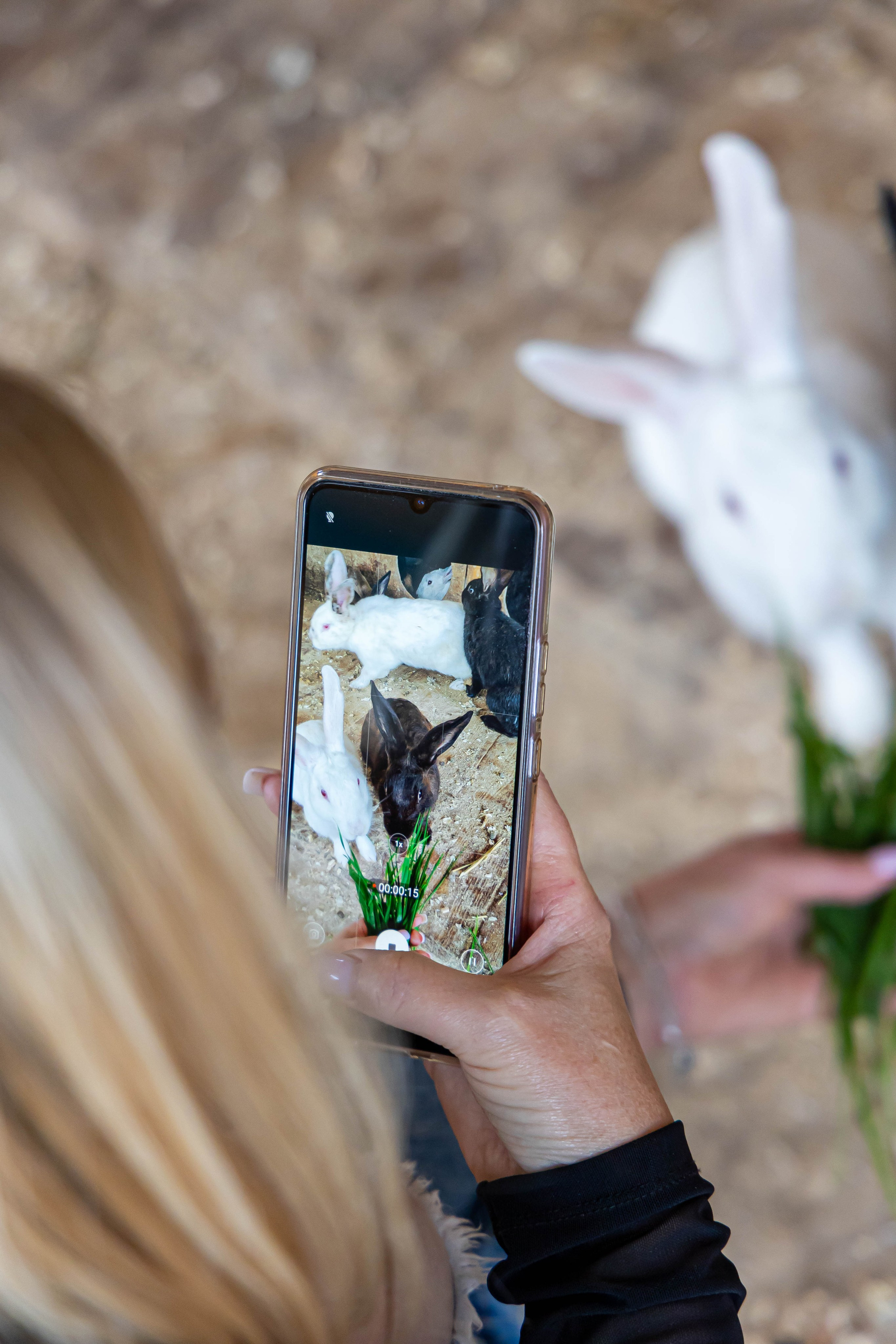 Тeam Building РОТЕКС. Фото и видео съемка Ваших мероприятий
