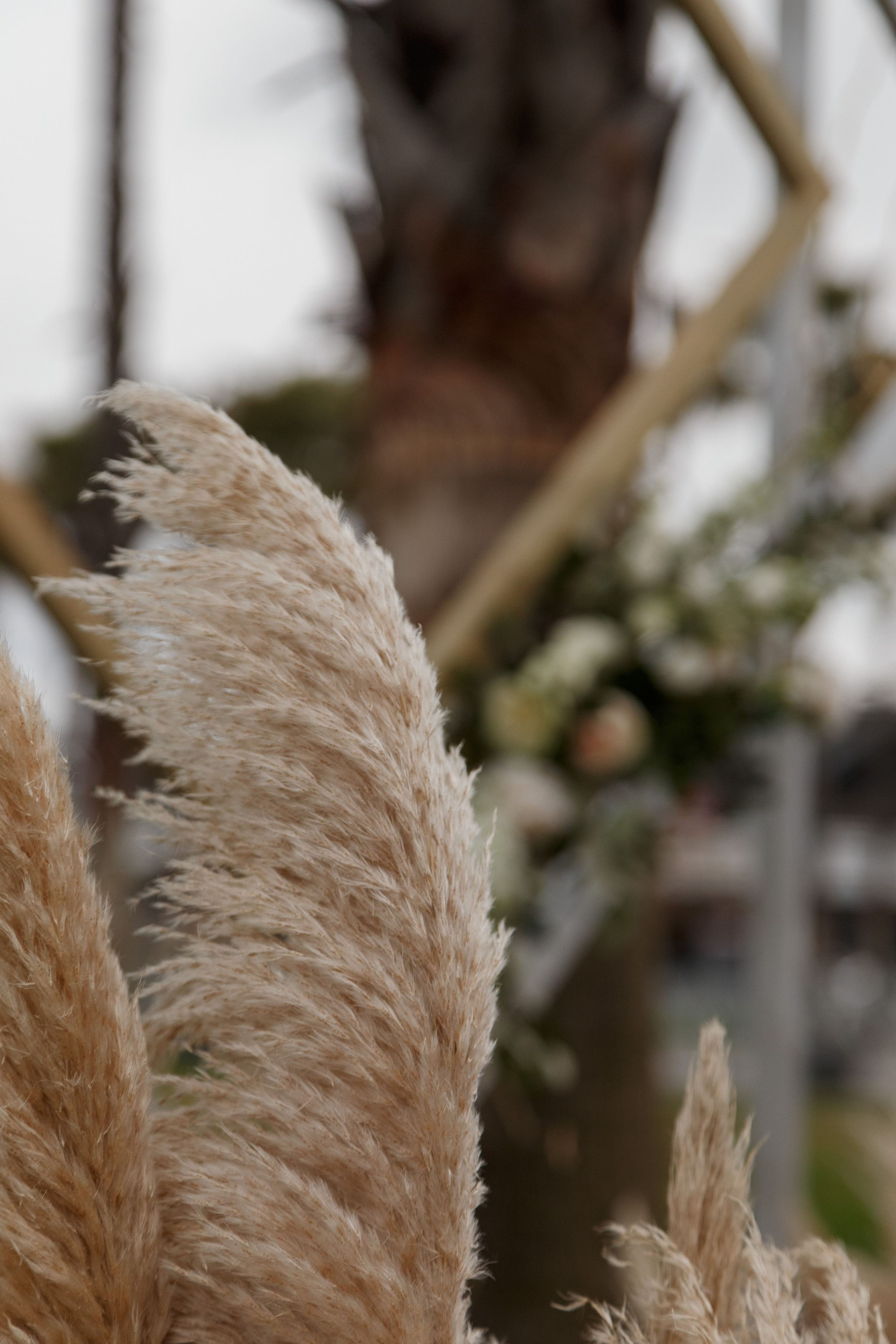 Александра и Никита. Свадебный и репортажный фотограф Краснодар и Край