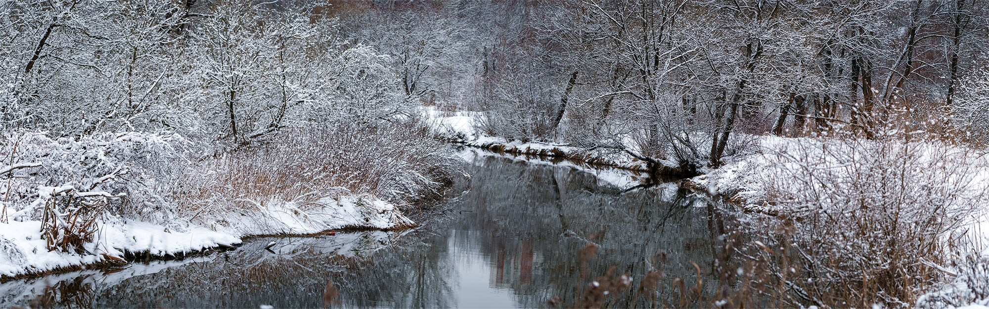 Природа. Ваш личный фотограф Марина Волкова