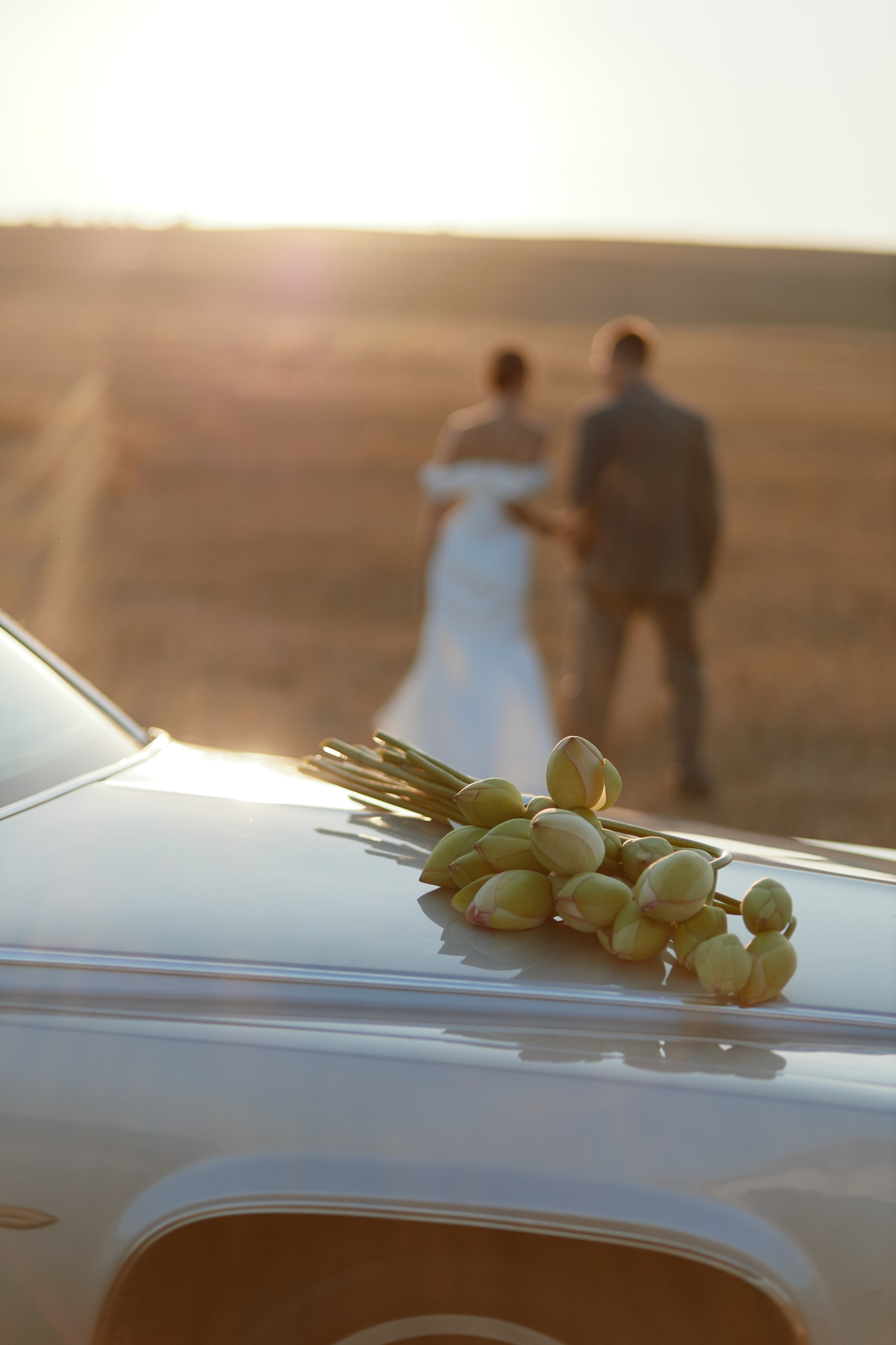 Один день. Фотограф Краснодар