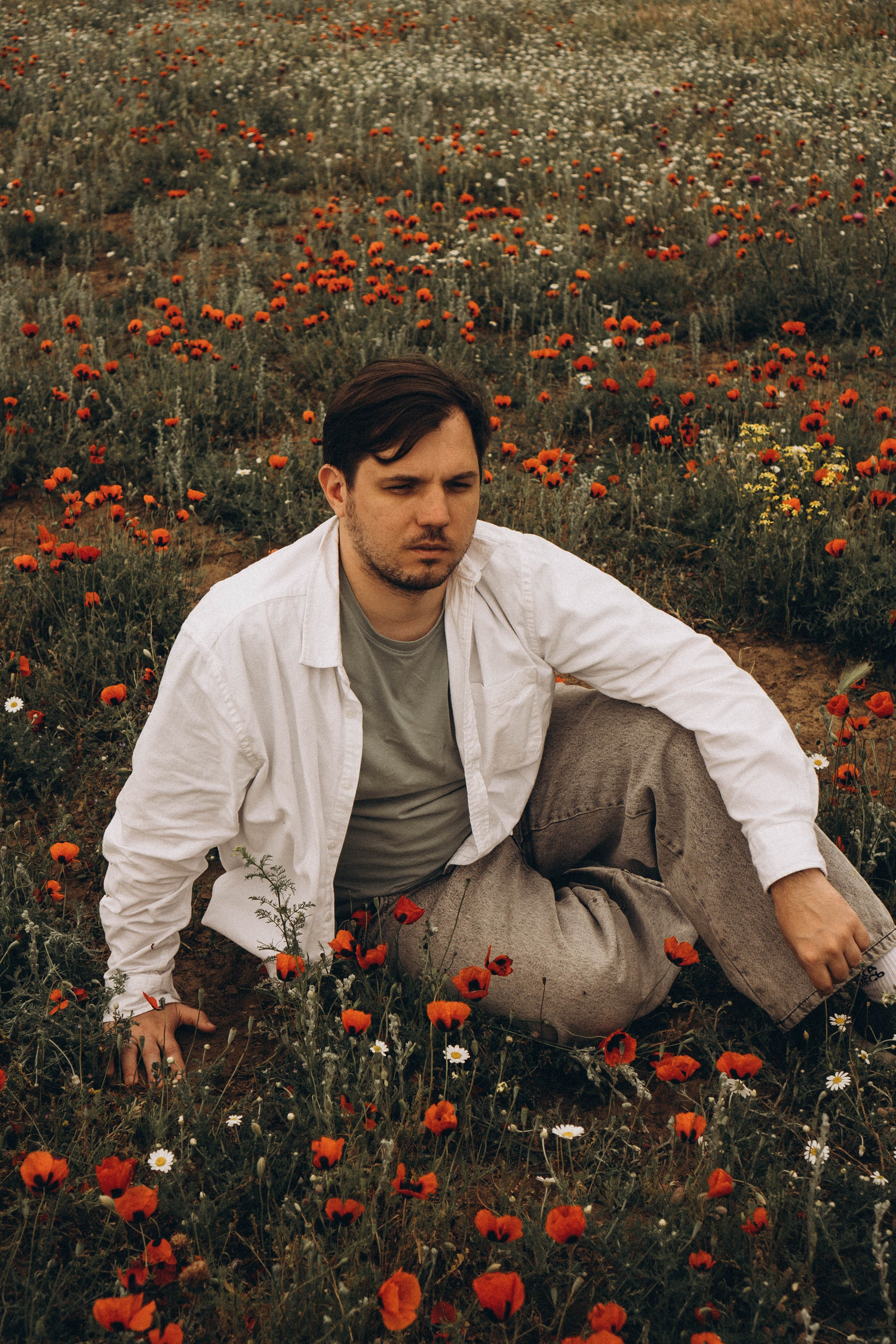 Маки. Профессиональный фотограф, Санкт-Петербург — Виктория Богомолова