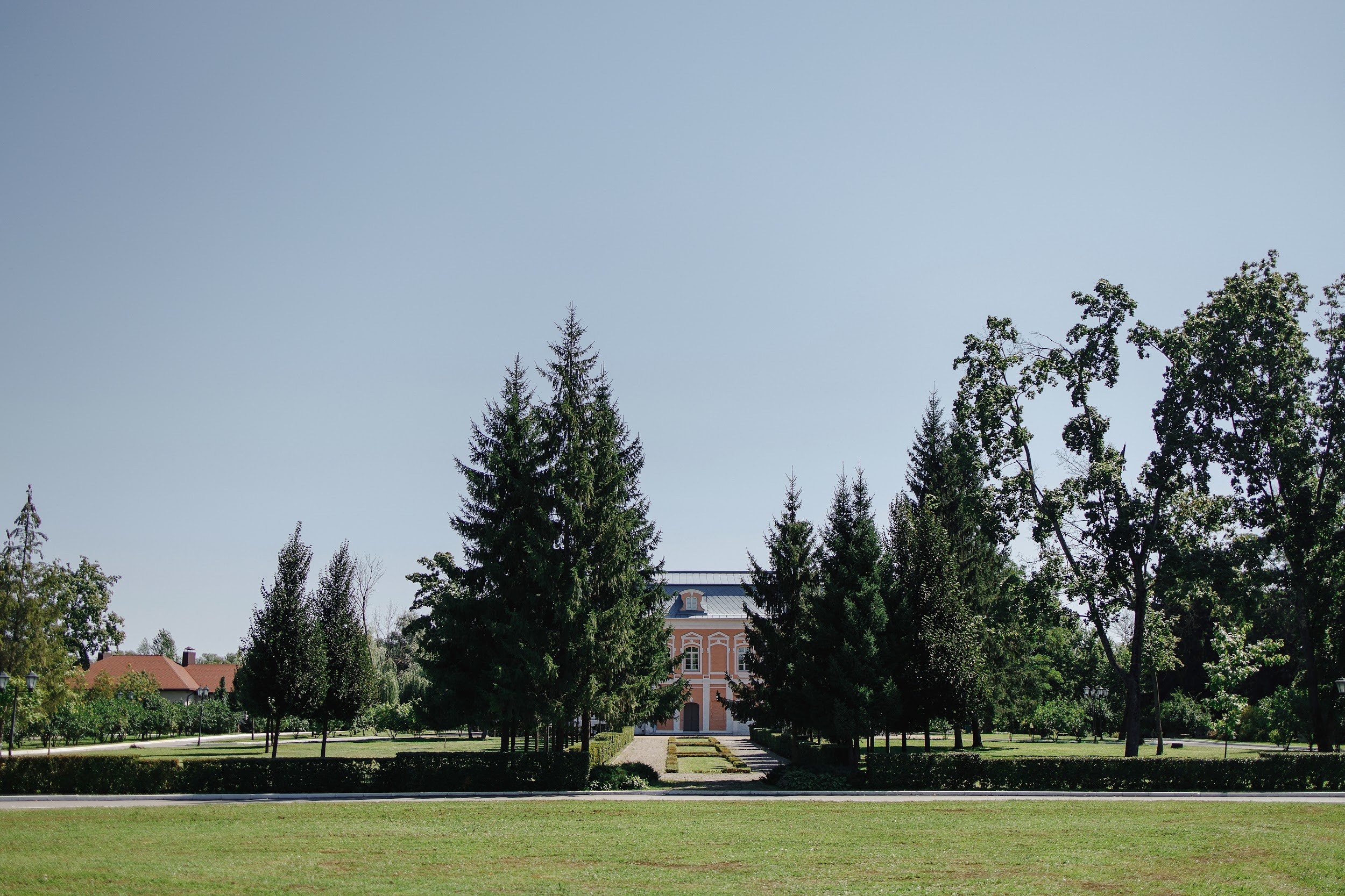 Лилия и Рома. Свадебный и репортажный фотограф в Воронеже Сергей Максимов
